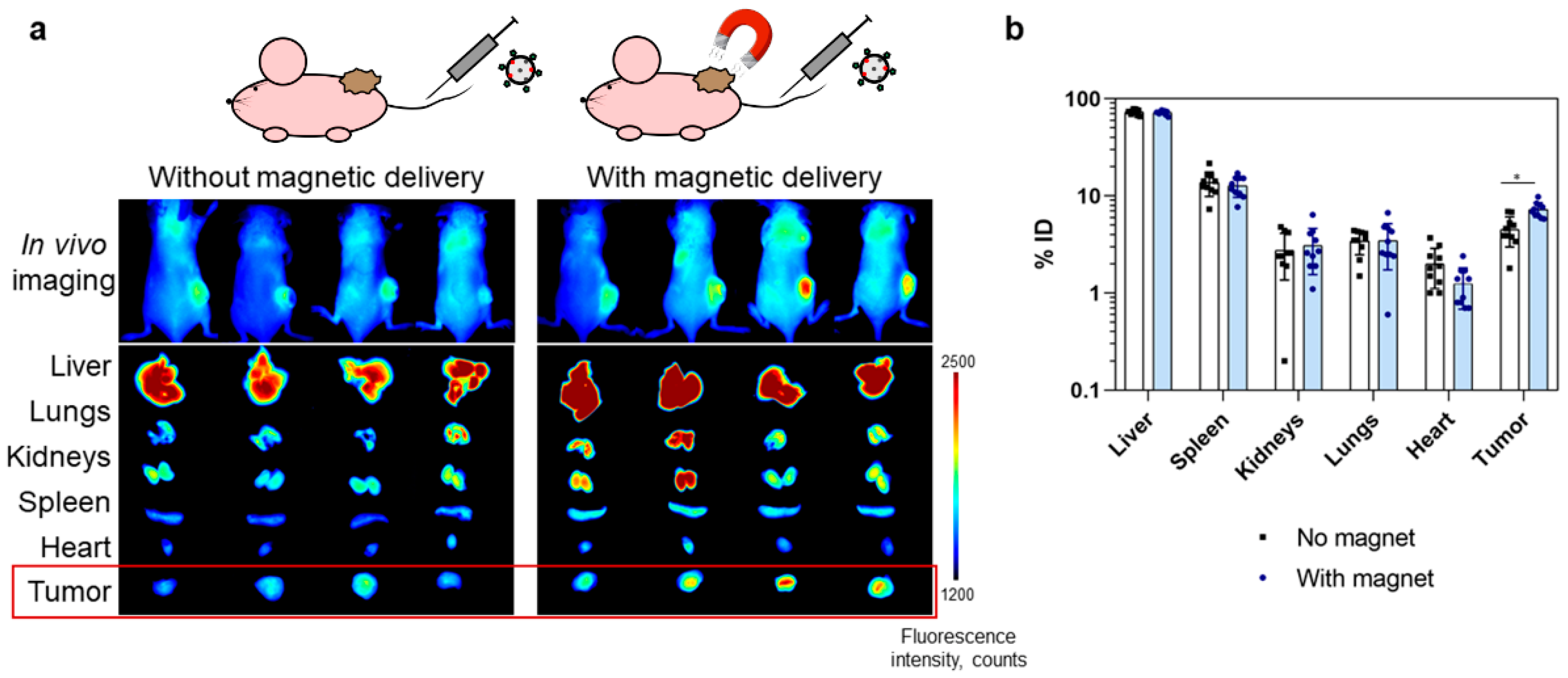 Pharmaceutics 15 00092 g005