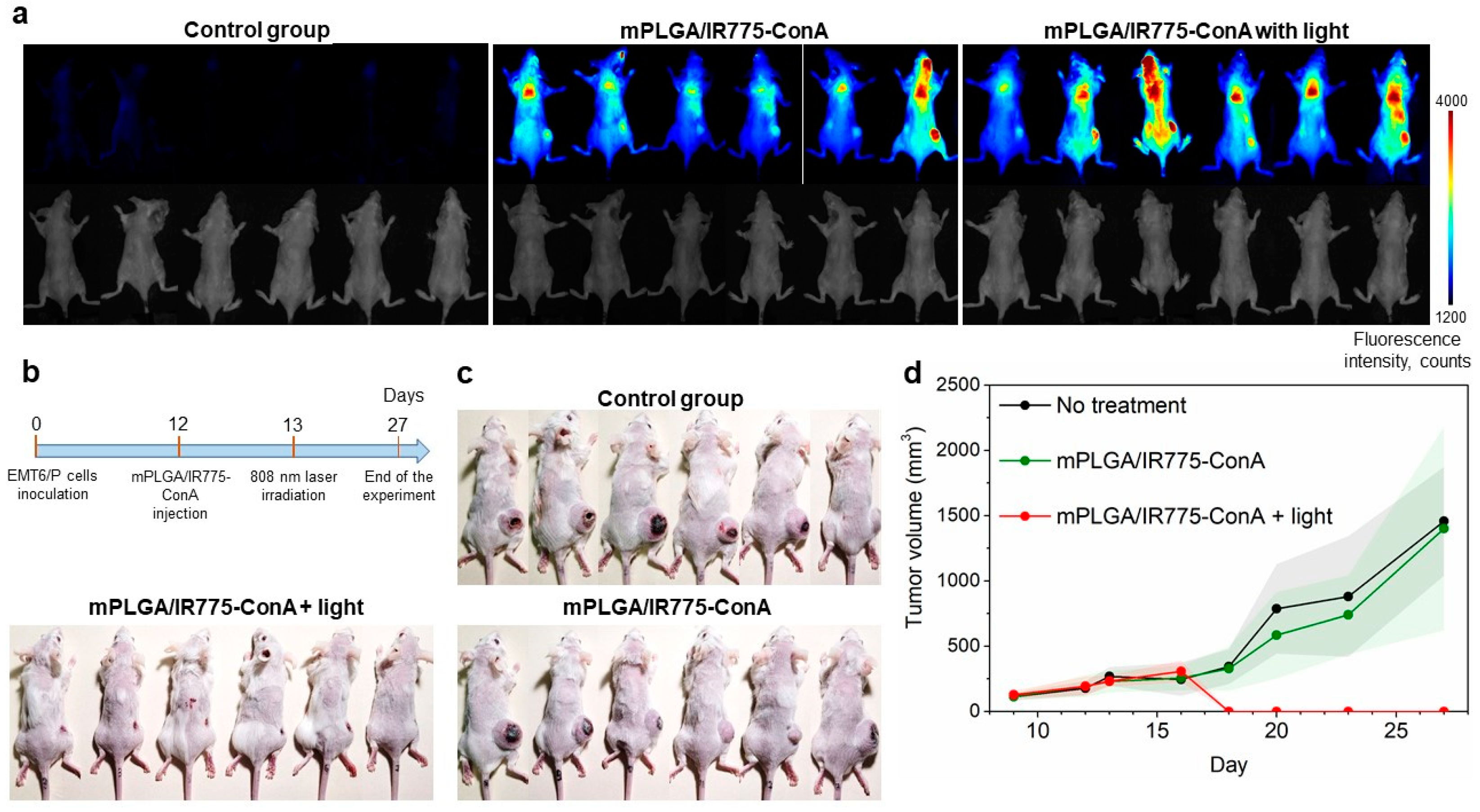 Pharmaceutics 15 00092 g006