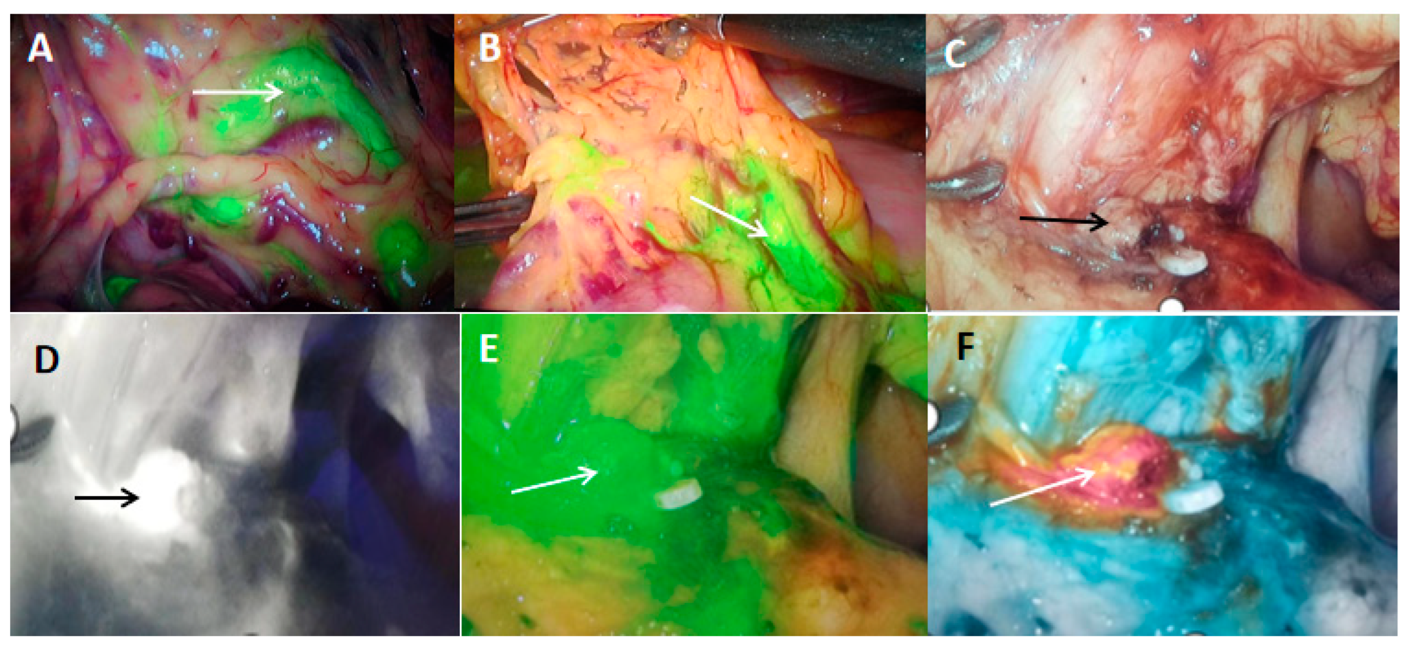 Pharmaceutics 15 00101 g002 Pharmaceutics 15 00101 g002