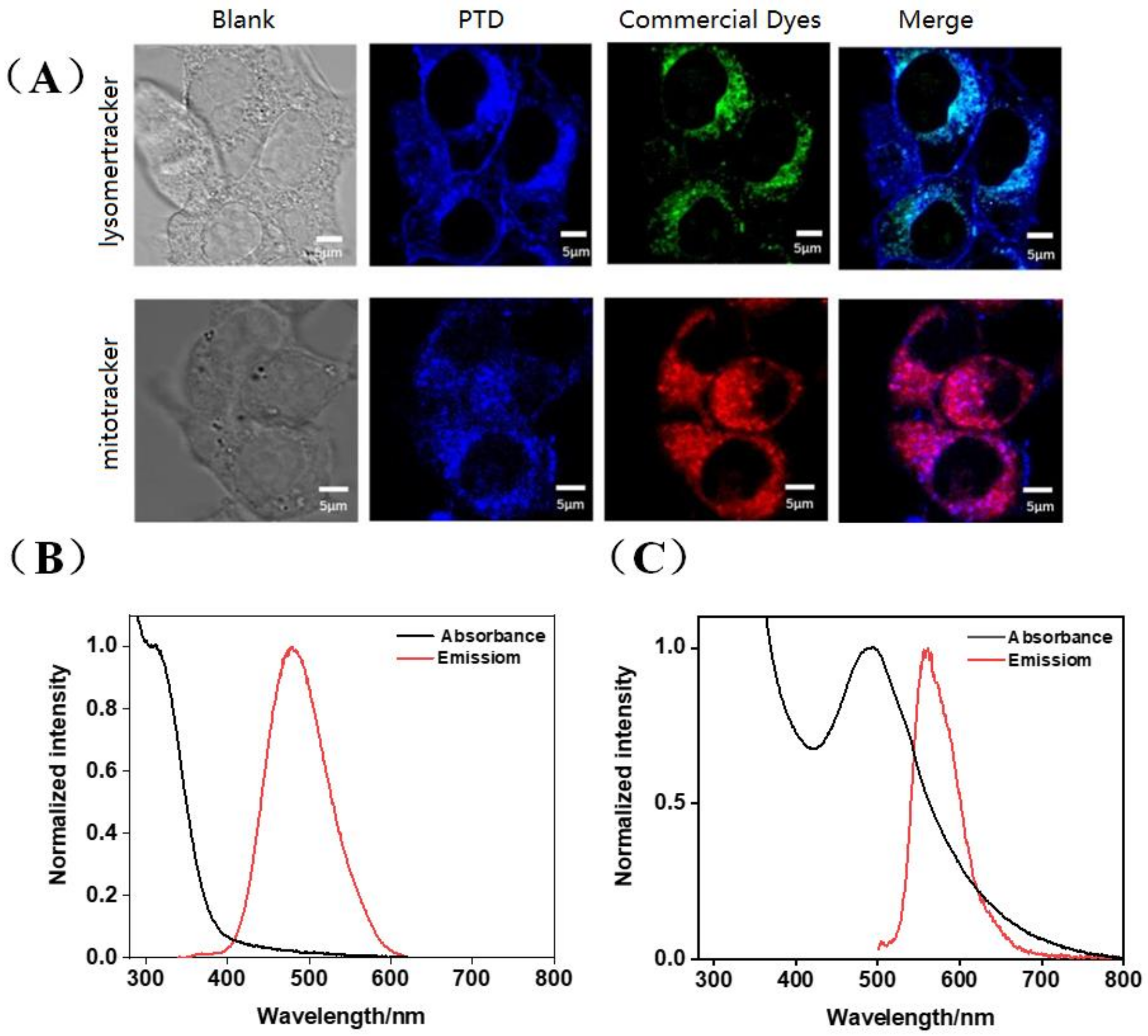 Pharmaceutics 15 00103 g005 Pharmaceutics 15 00103 g005