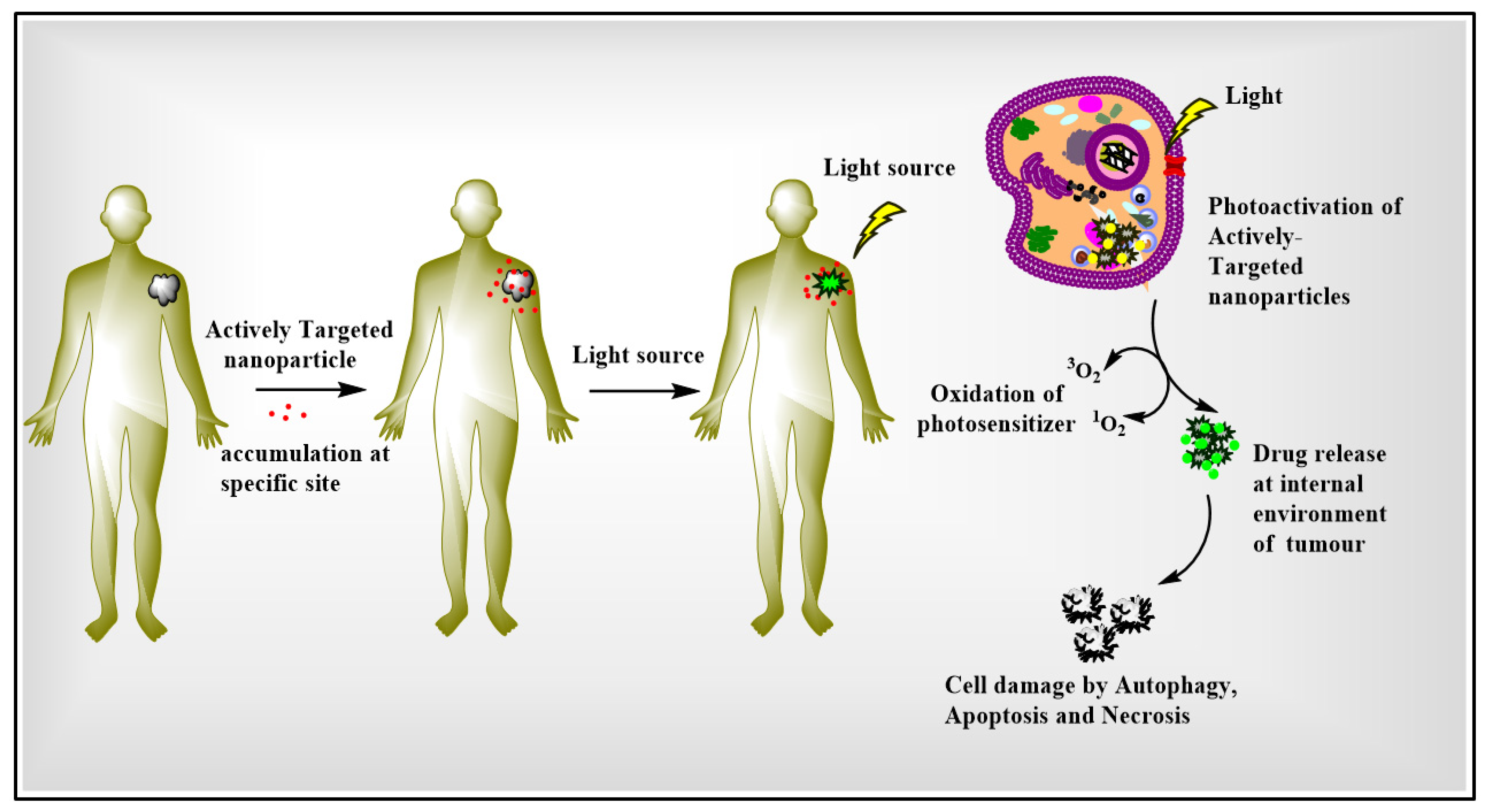 Pharmaceutics 15 00109 g001 Pharmaceutics 15 00109 g001