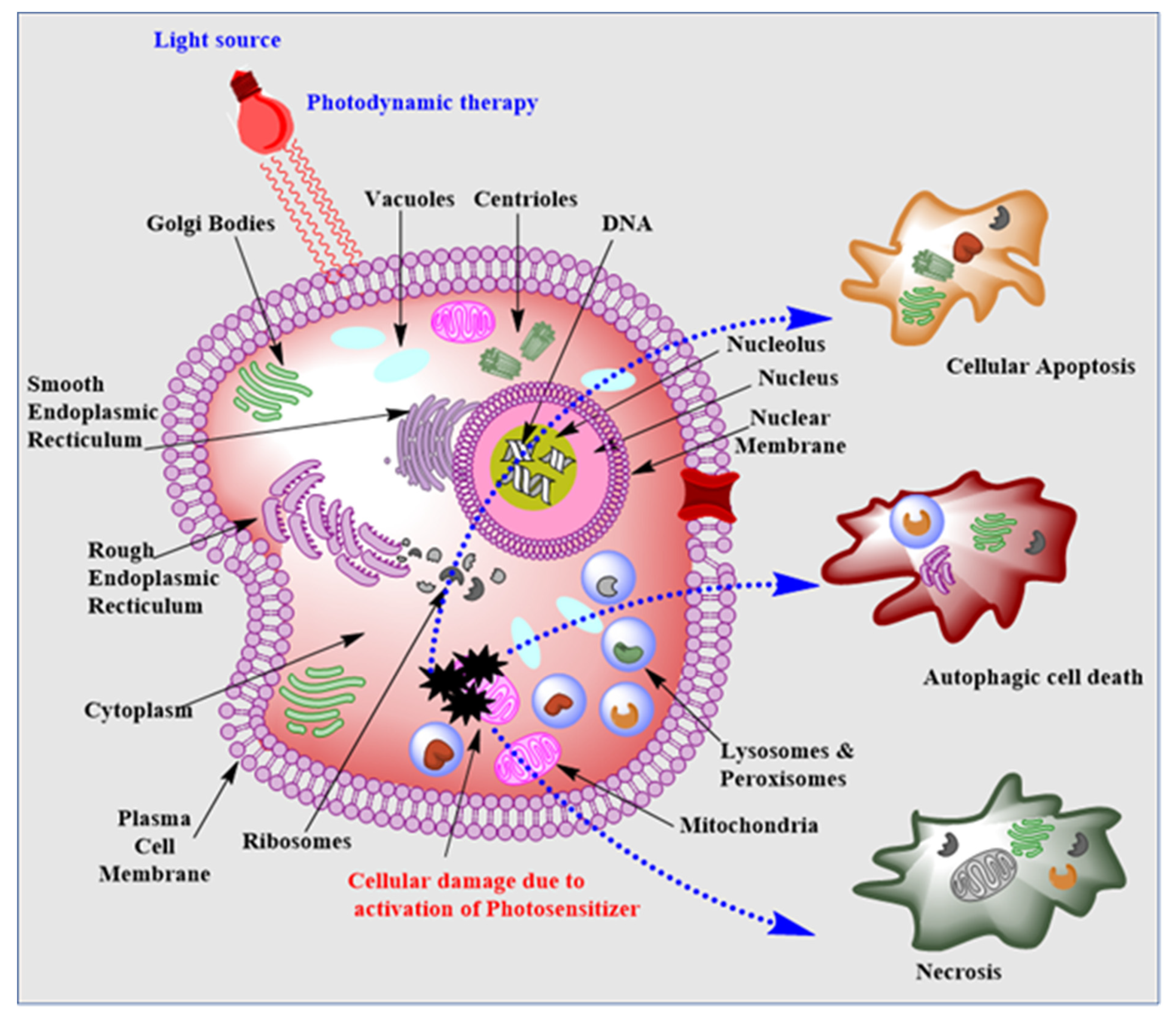 Pharmaceutics 15 00109 g002 Pharmaceutics 15 00109 g002