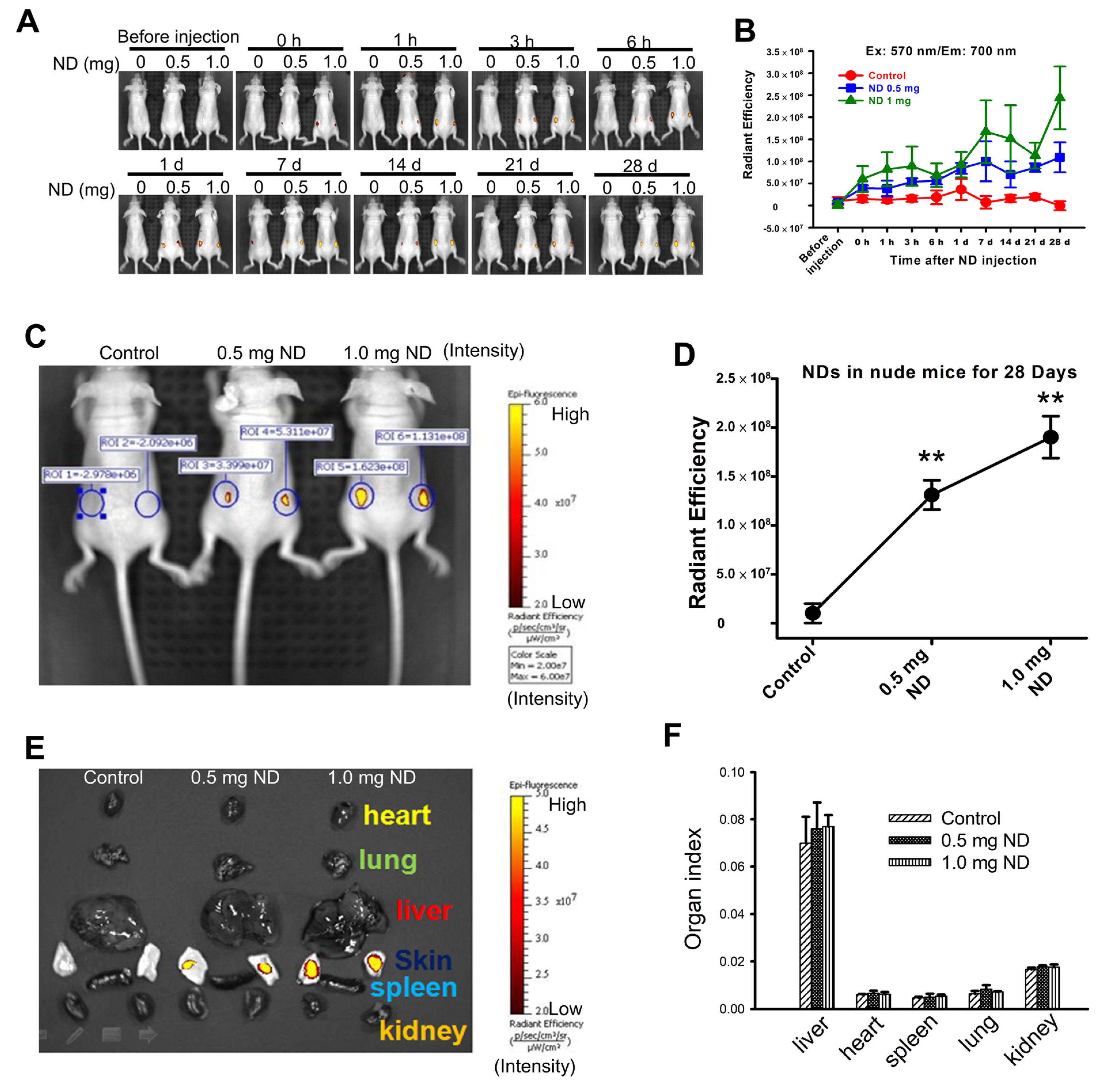 Pharmaceutics 15 00111 g002