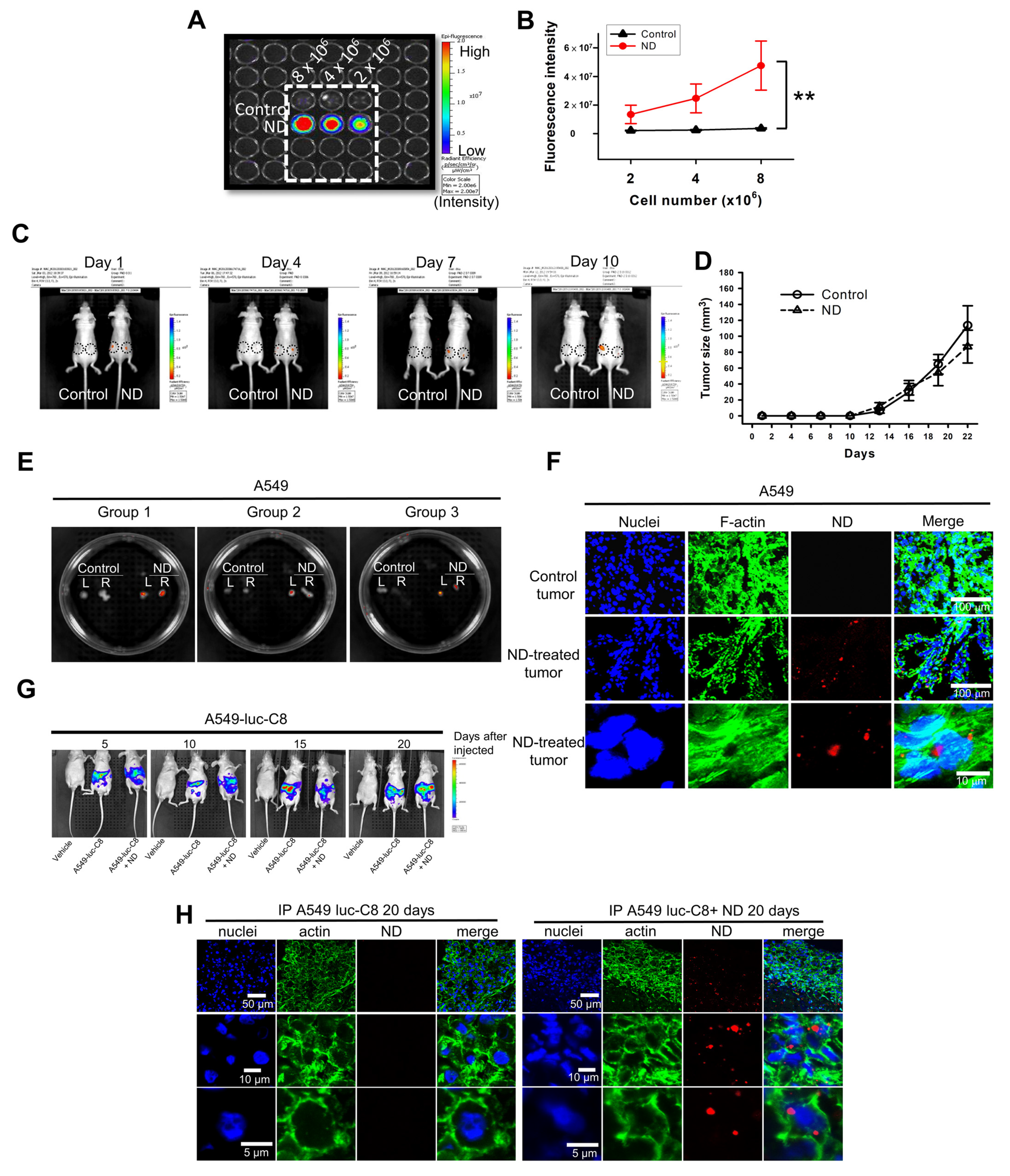 Pharmaceutics 15 00111 g003