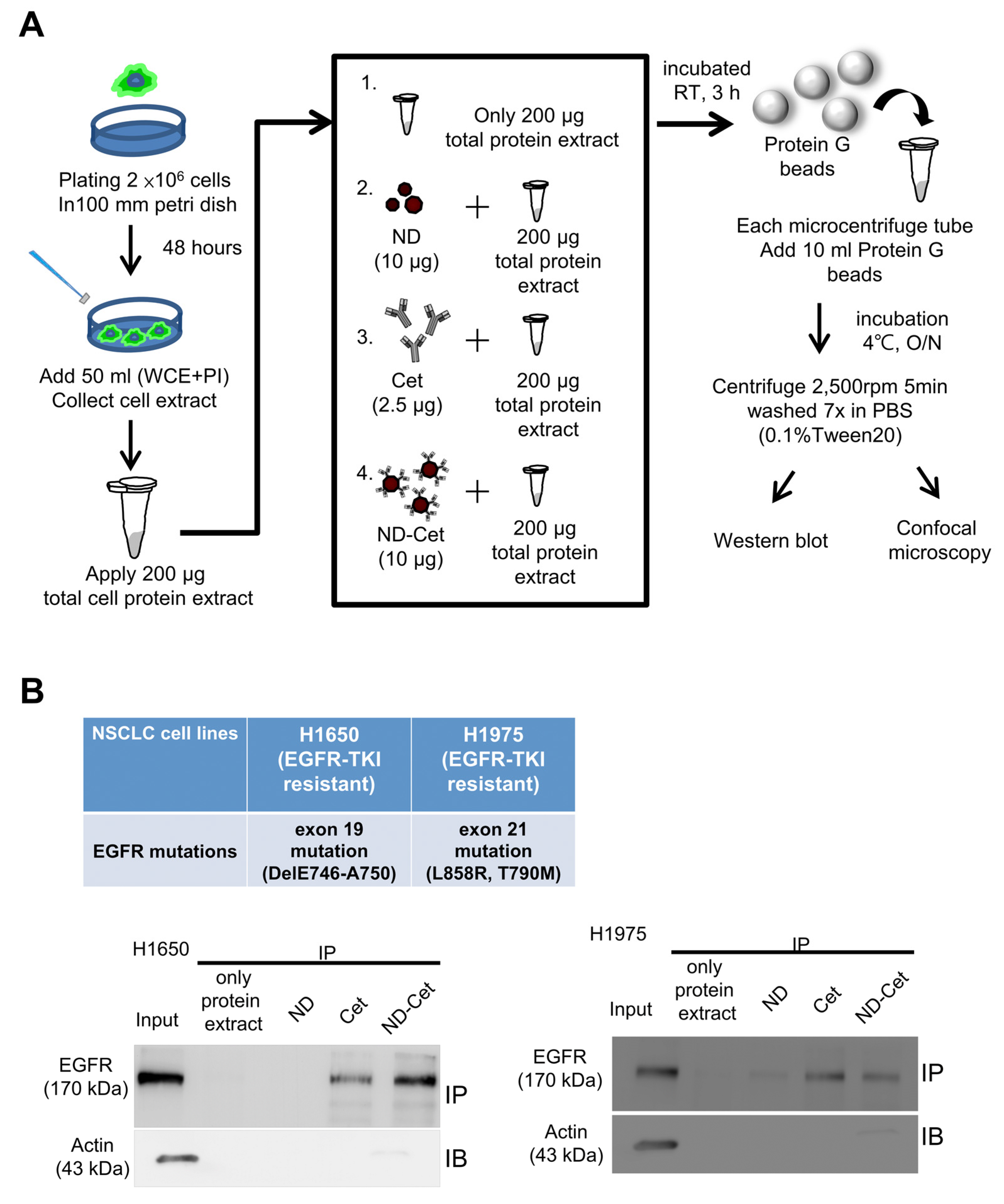 Pharmaceutics 15 00111 g005