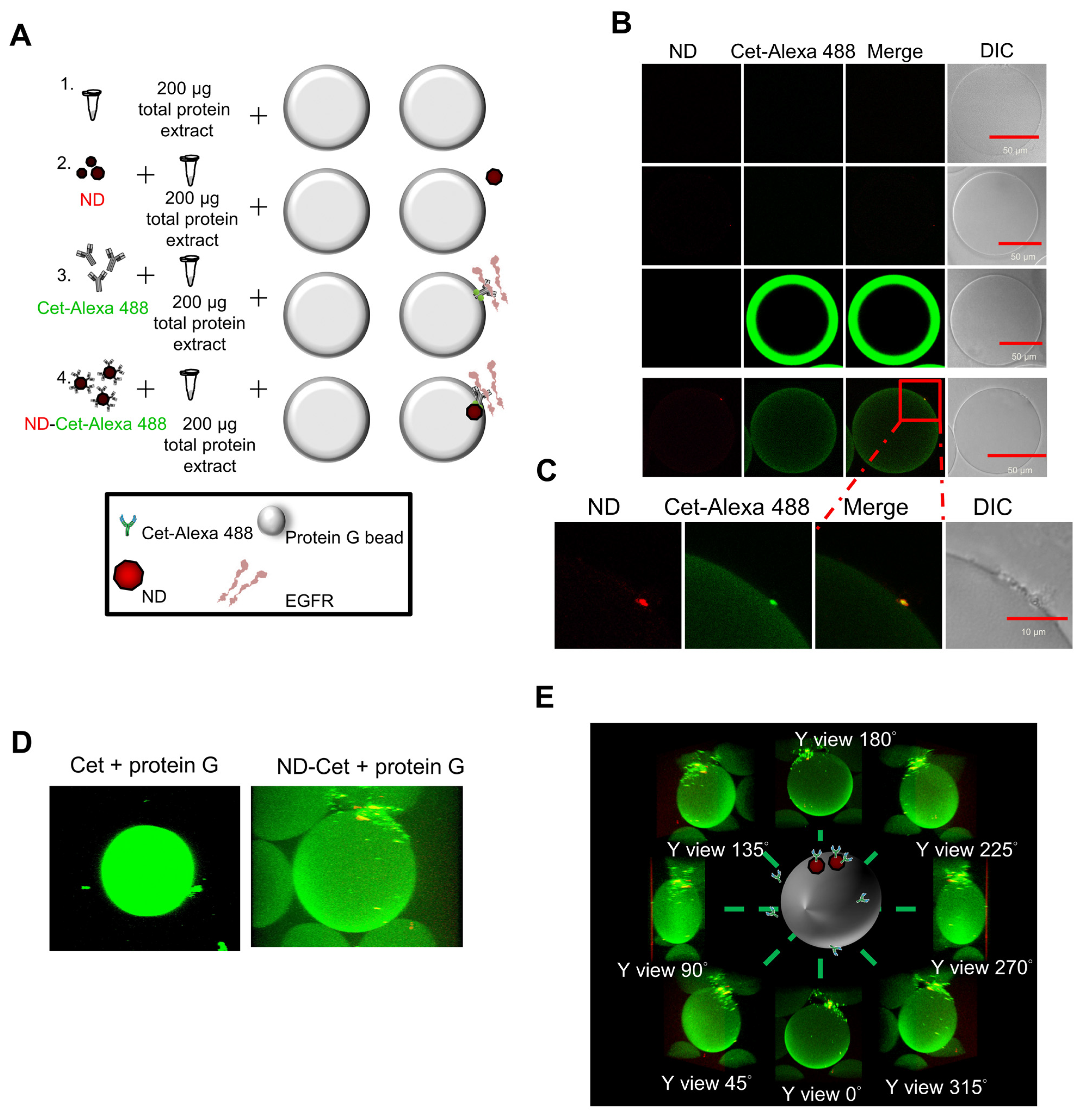 Pharmaceutics 15 00111 g006