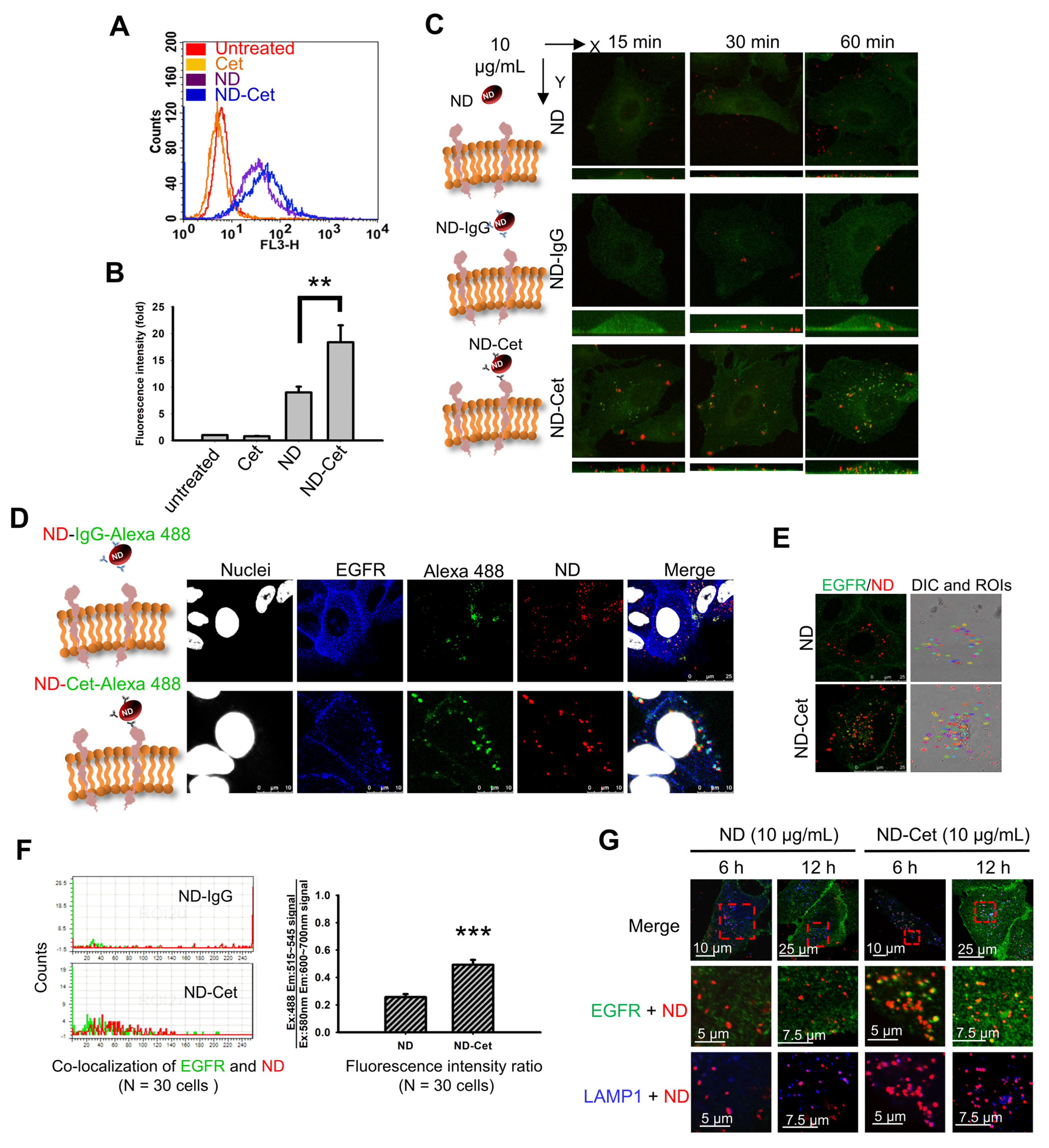 Pharmaceutics 15 00111 g007