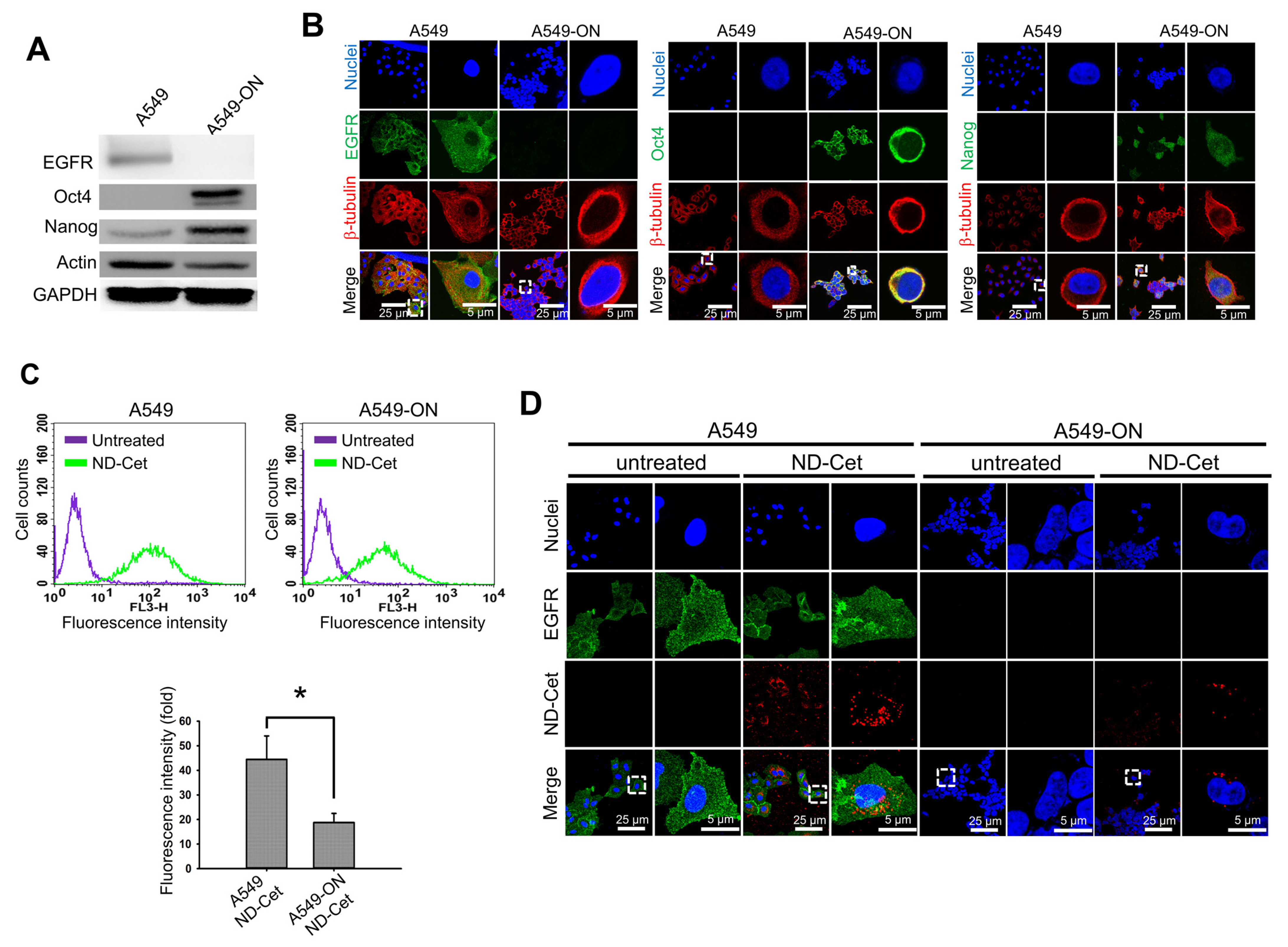 Pharmaceutics 15 00111 g008a