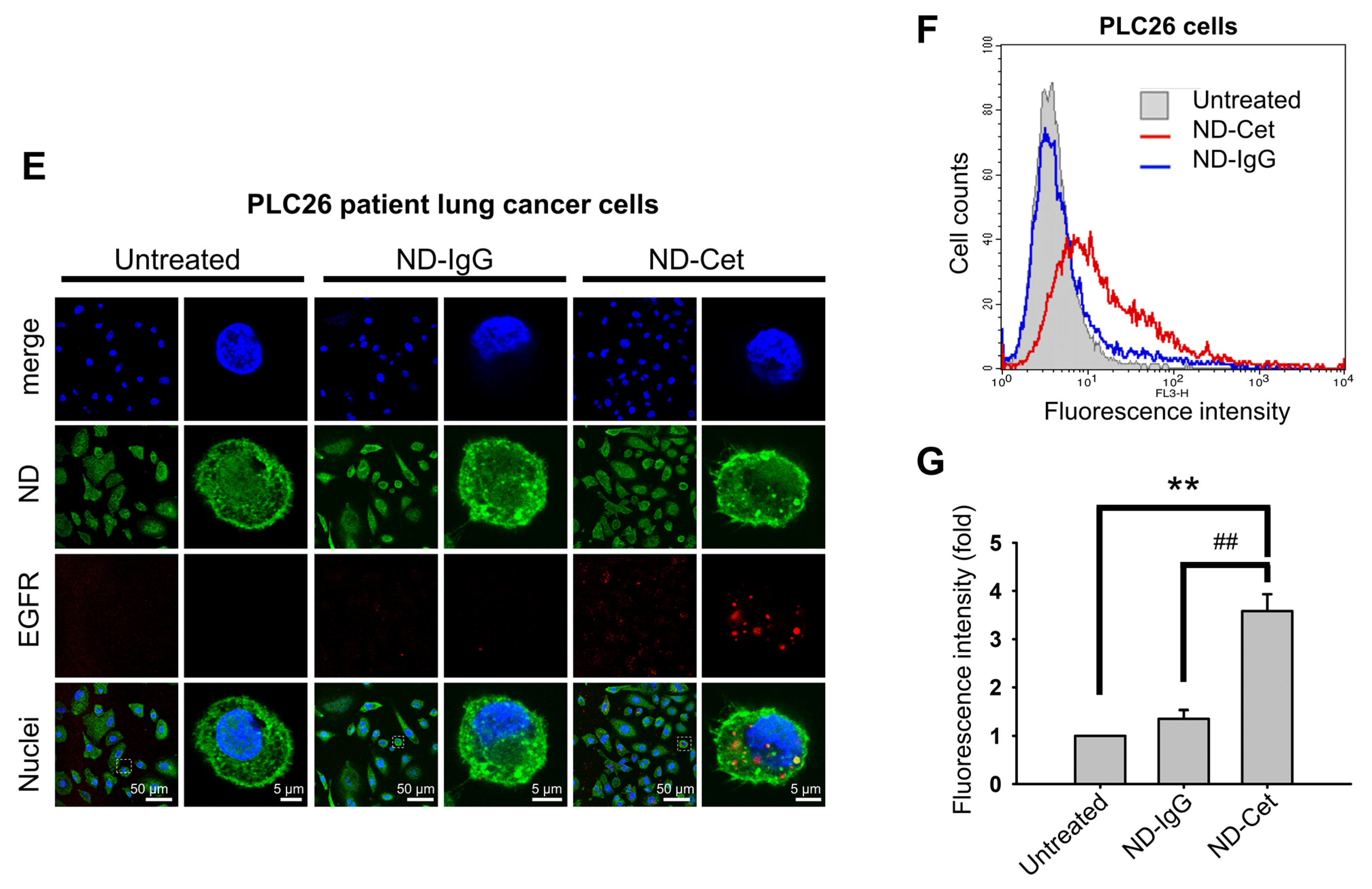 Pharmaceutics 15 00111 g008b