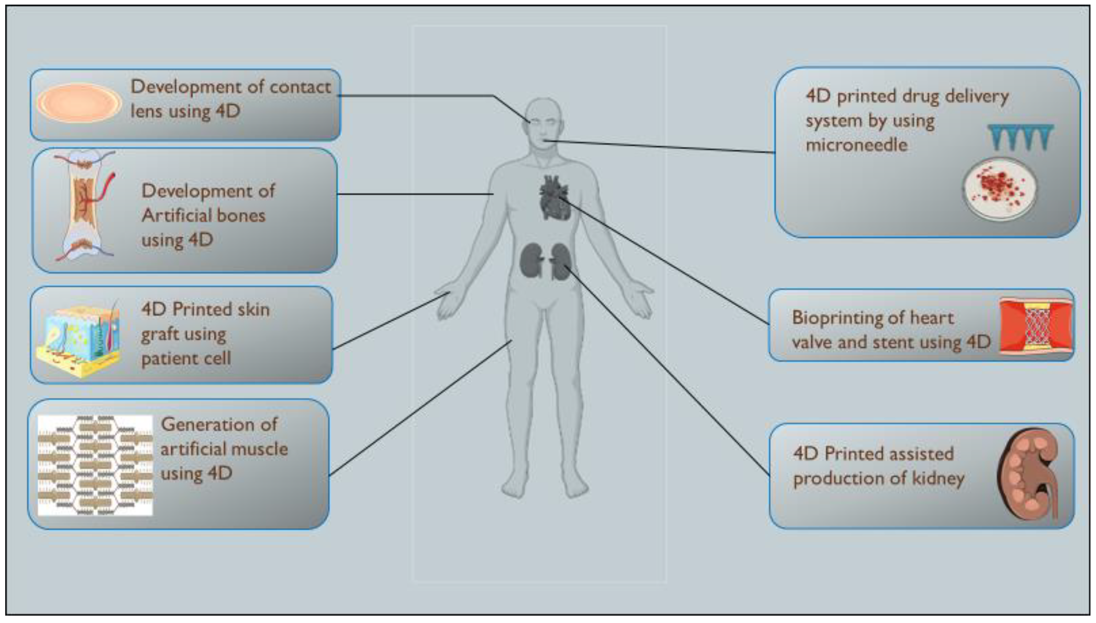 Pharmaceutics 15 00116 g003