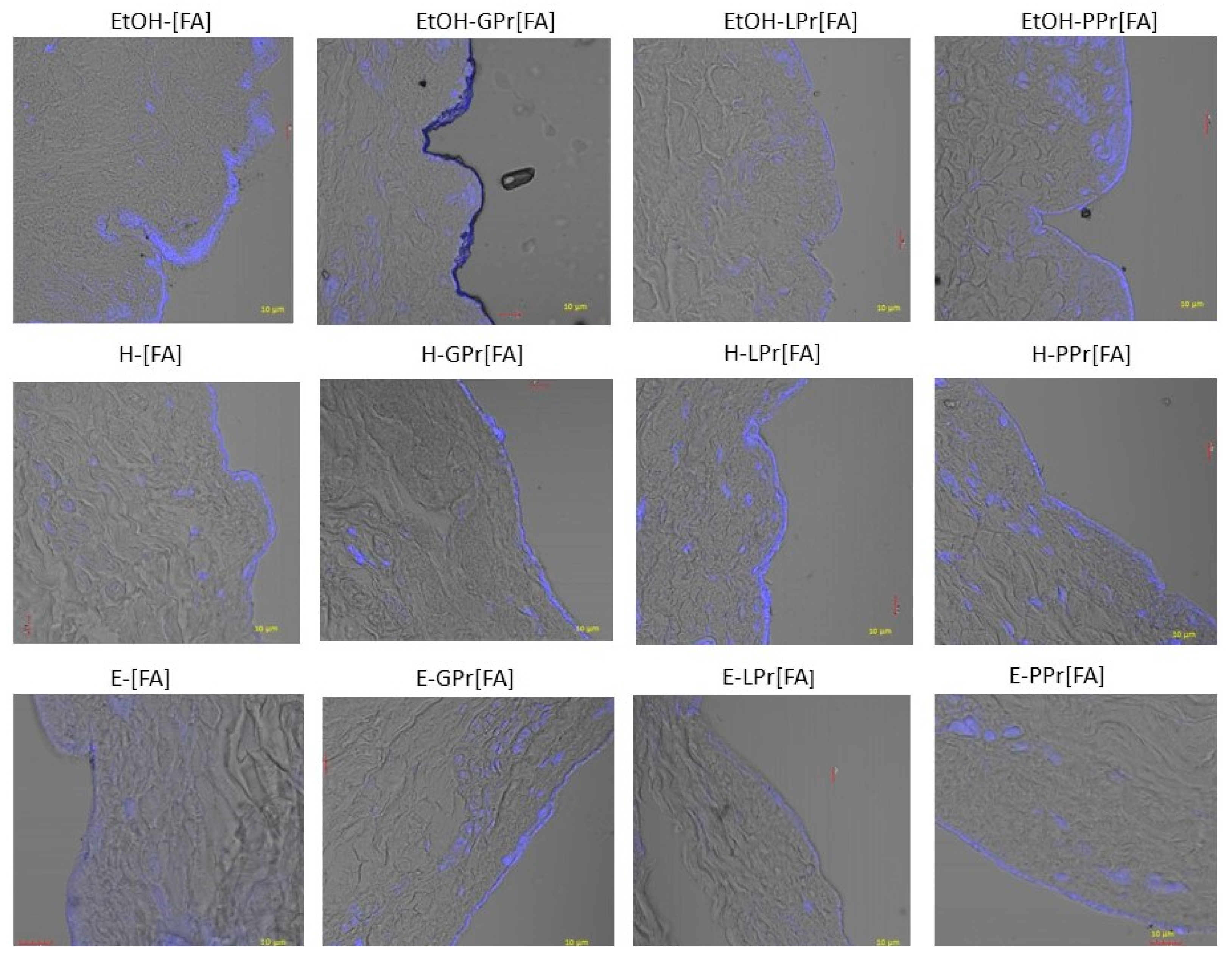 Pharmaceutics 15 00117 g008