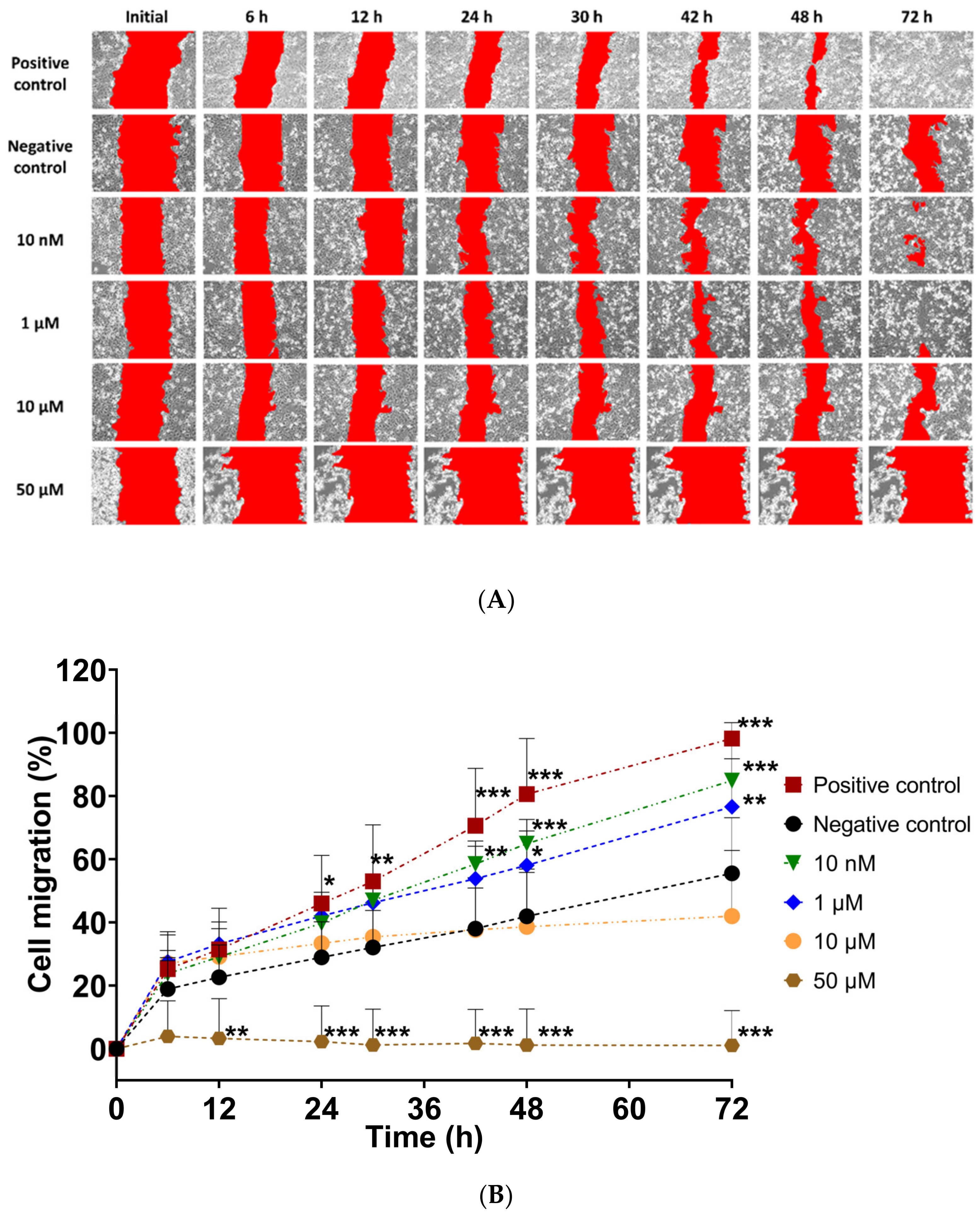 Pharmaceutics 15 00118 g002 Pharmaceutics 15 00118 g002