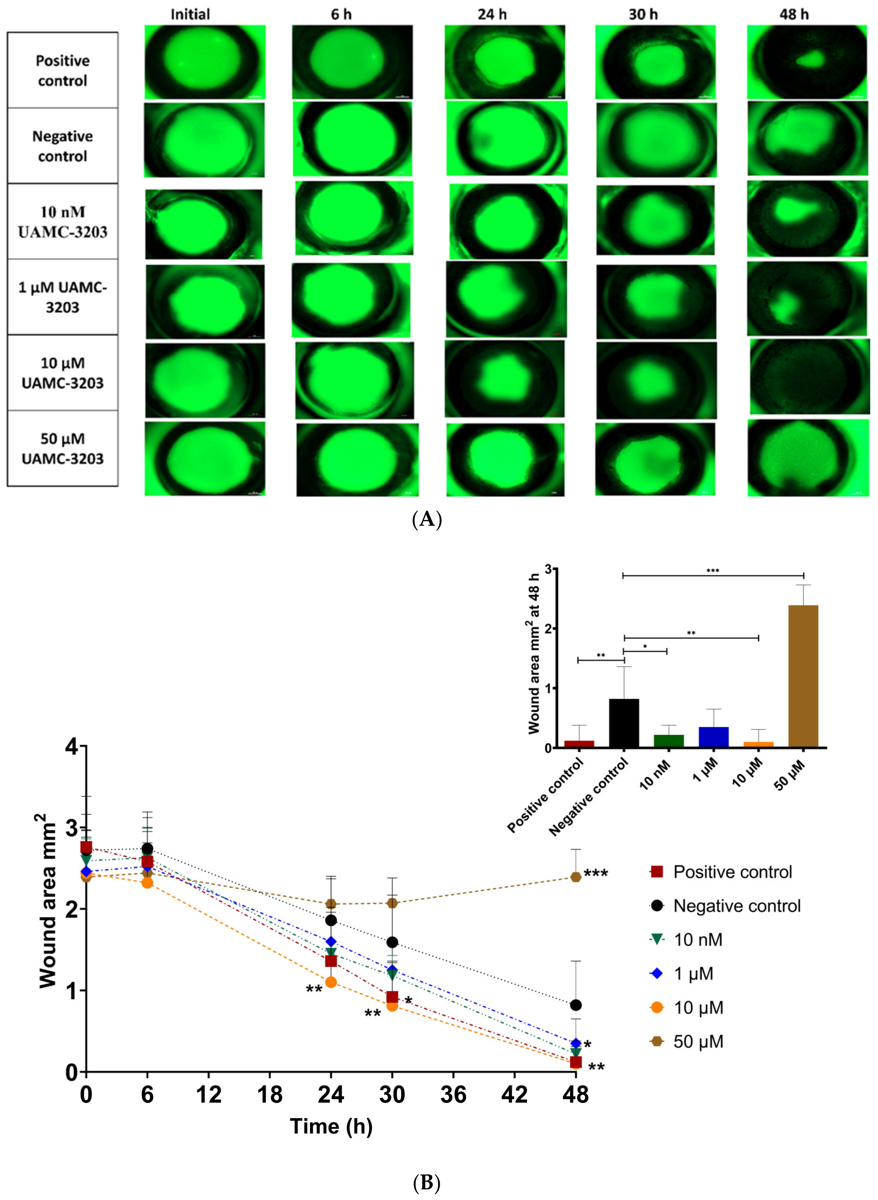 Pharmaceutics 15 00118 g004 Pharmaceutics 15 00118 g004