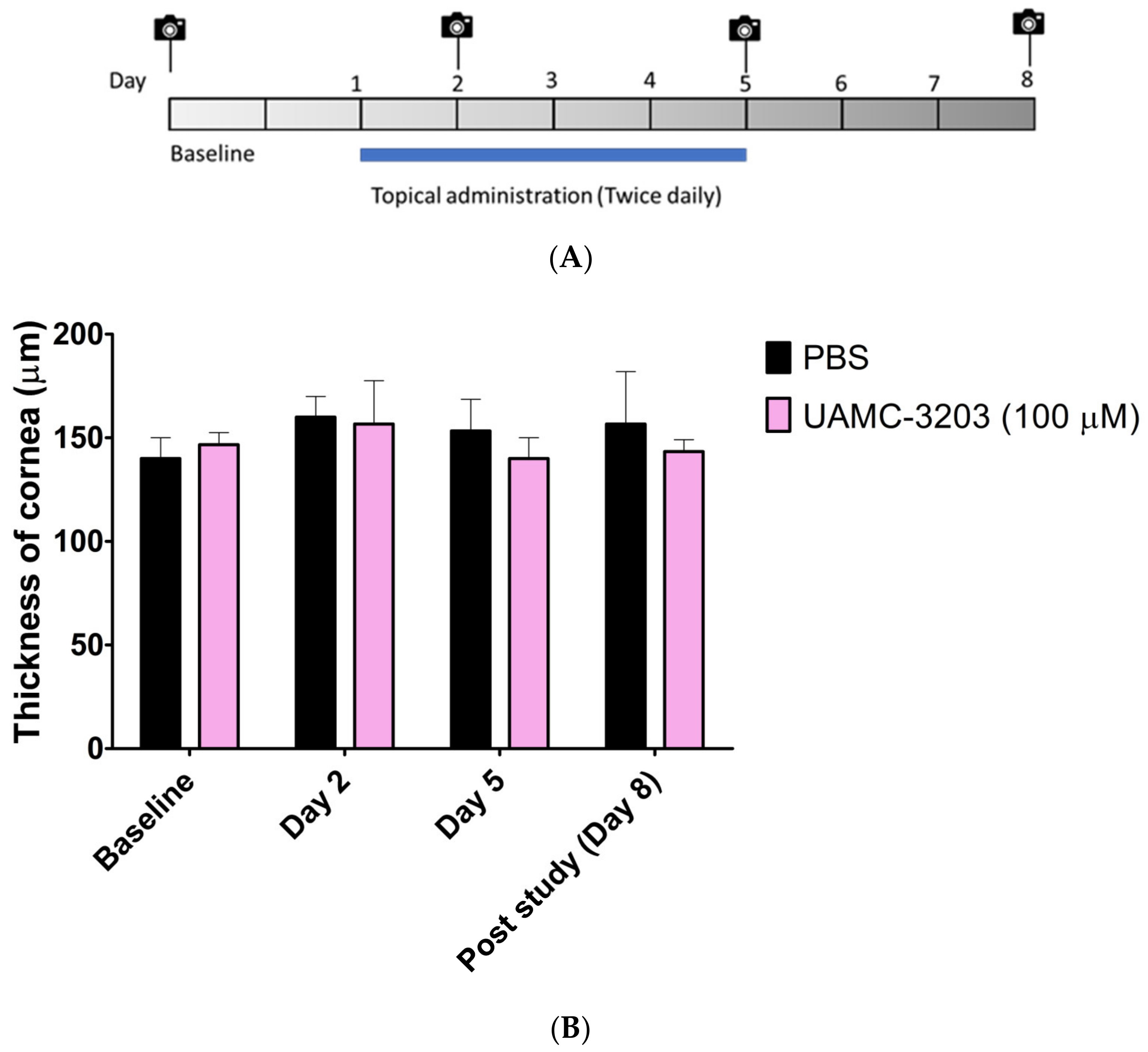 Pharmaceutics 15 00118 g005 Pharmaceutics 15 00118 g005