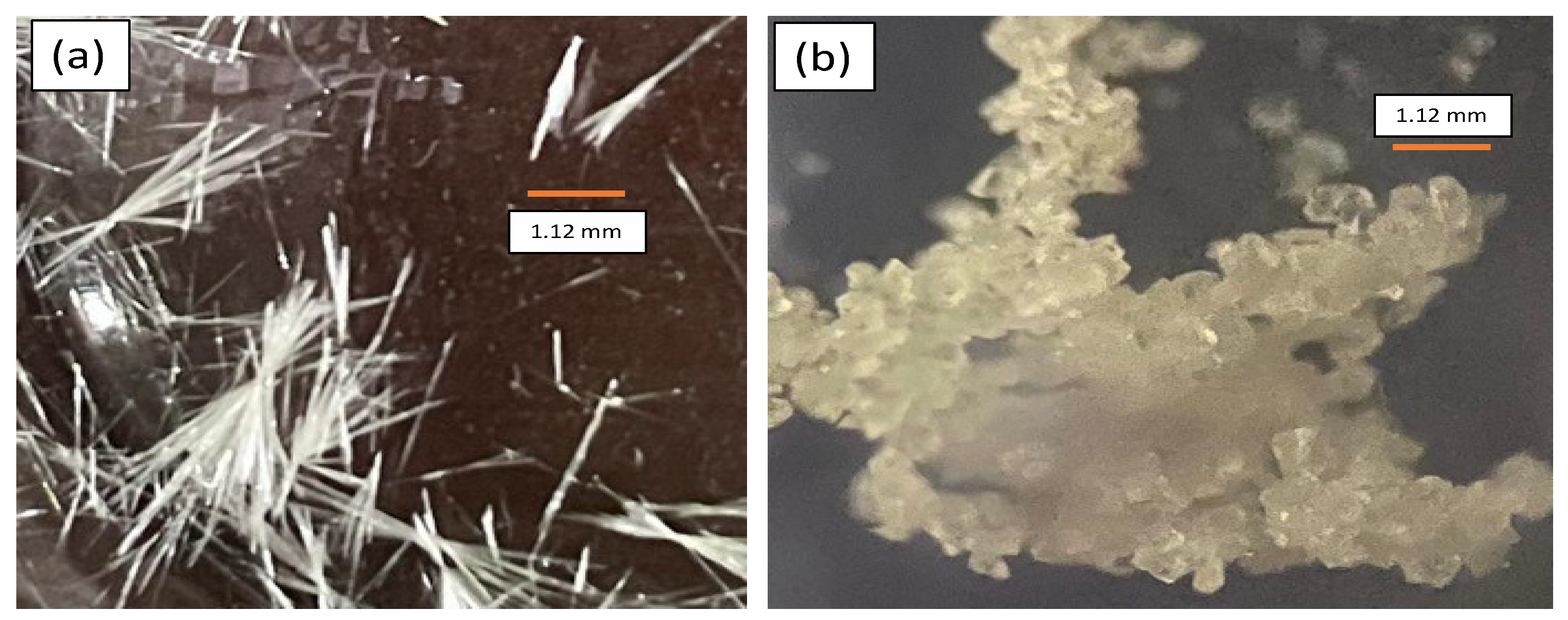 Pharmaceutics 15 00124 g002 Pharmaceutics 15 00124 g002
