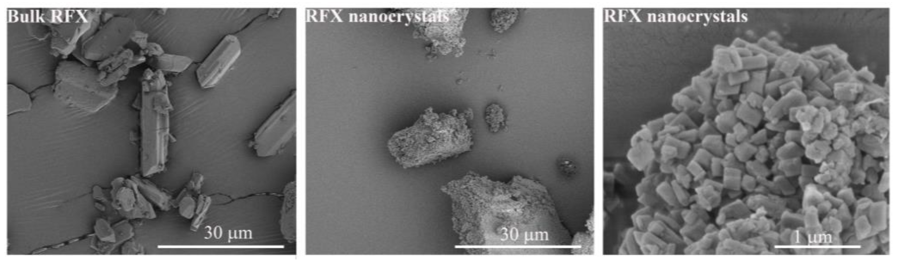 Pharmaceutics 15 00126 g002