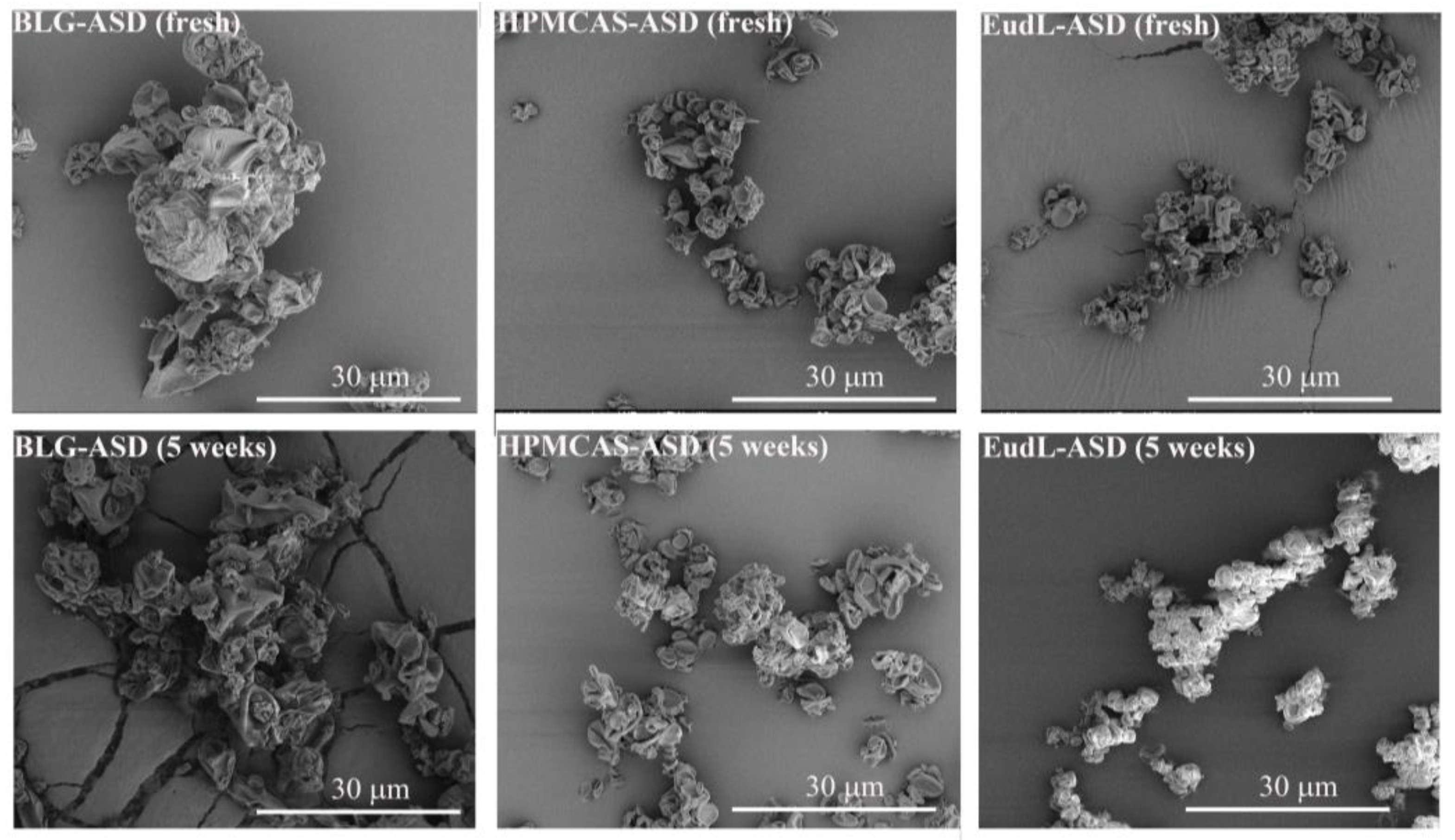 Pharmaceutics 15 00126 g003
