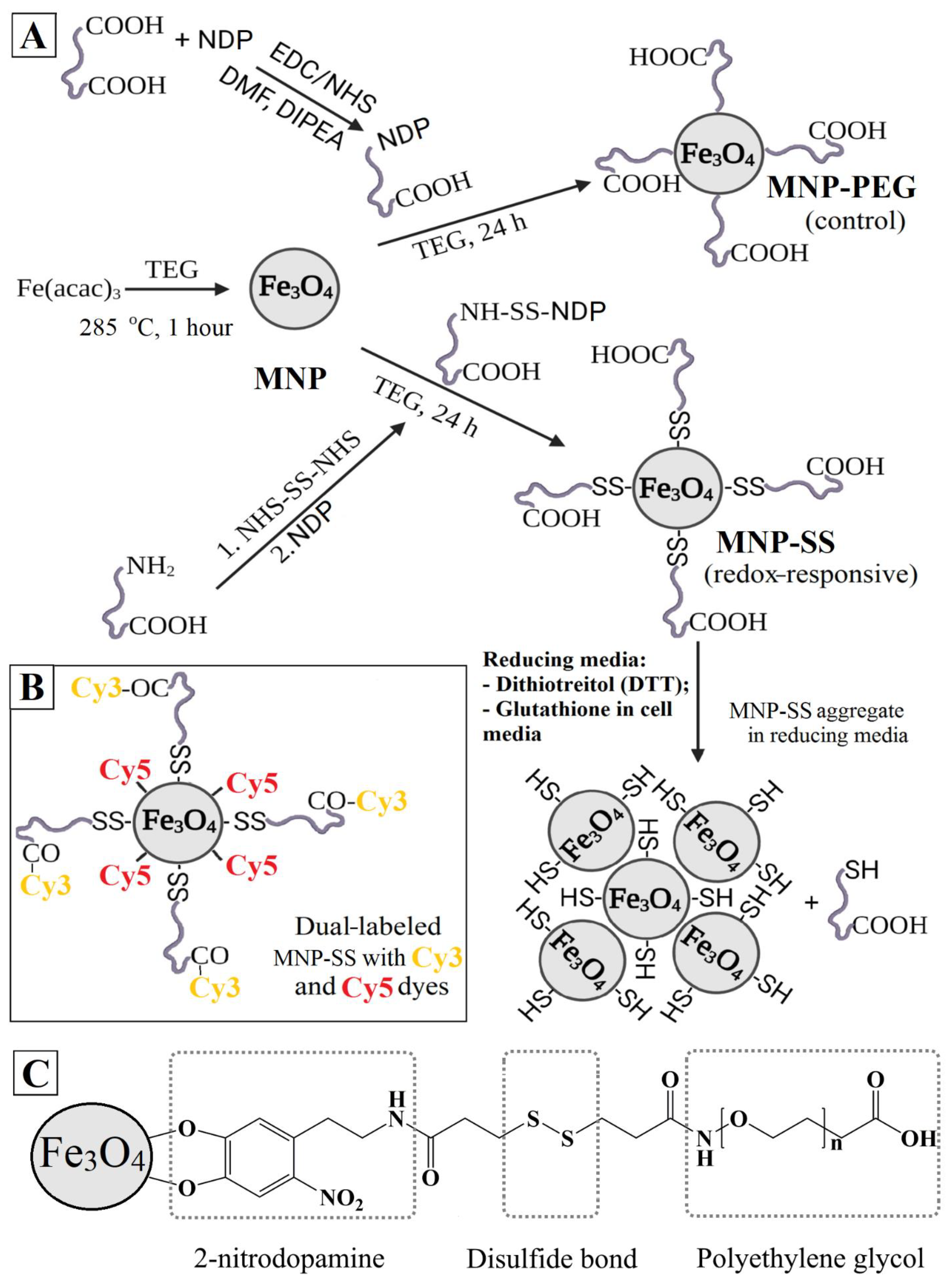 Pharmaceutics 15 00127 g001