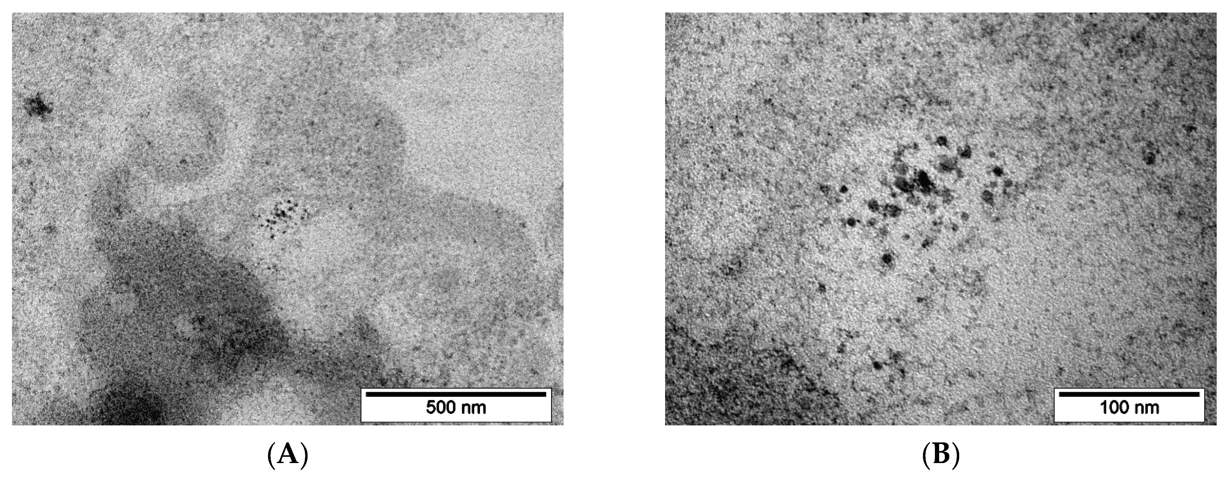 Pharmaceutics 15 00127 g007a