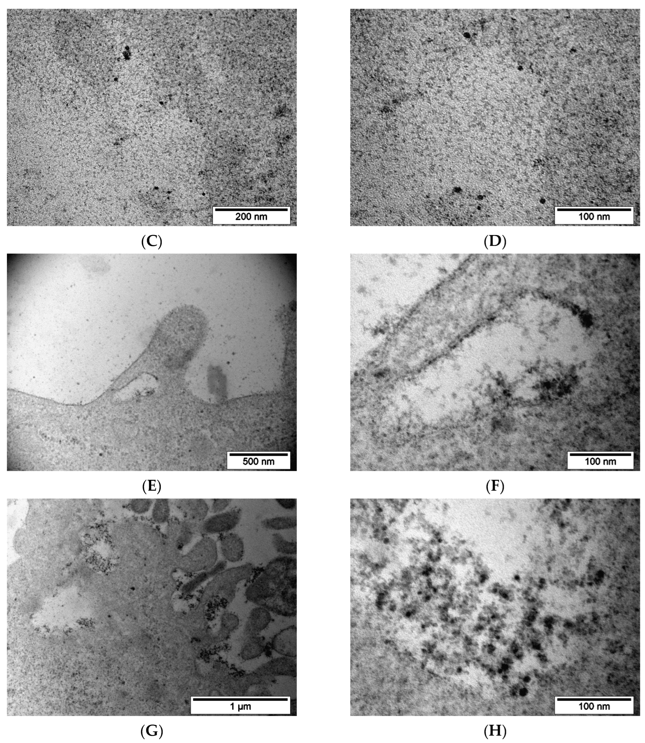 Pharmaceutics 15 00127 g007b