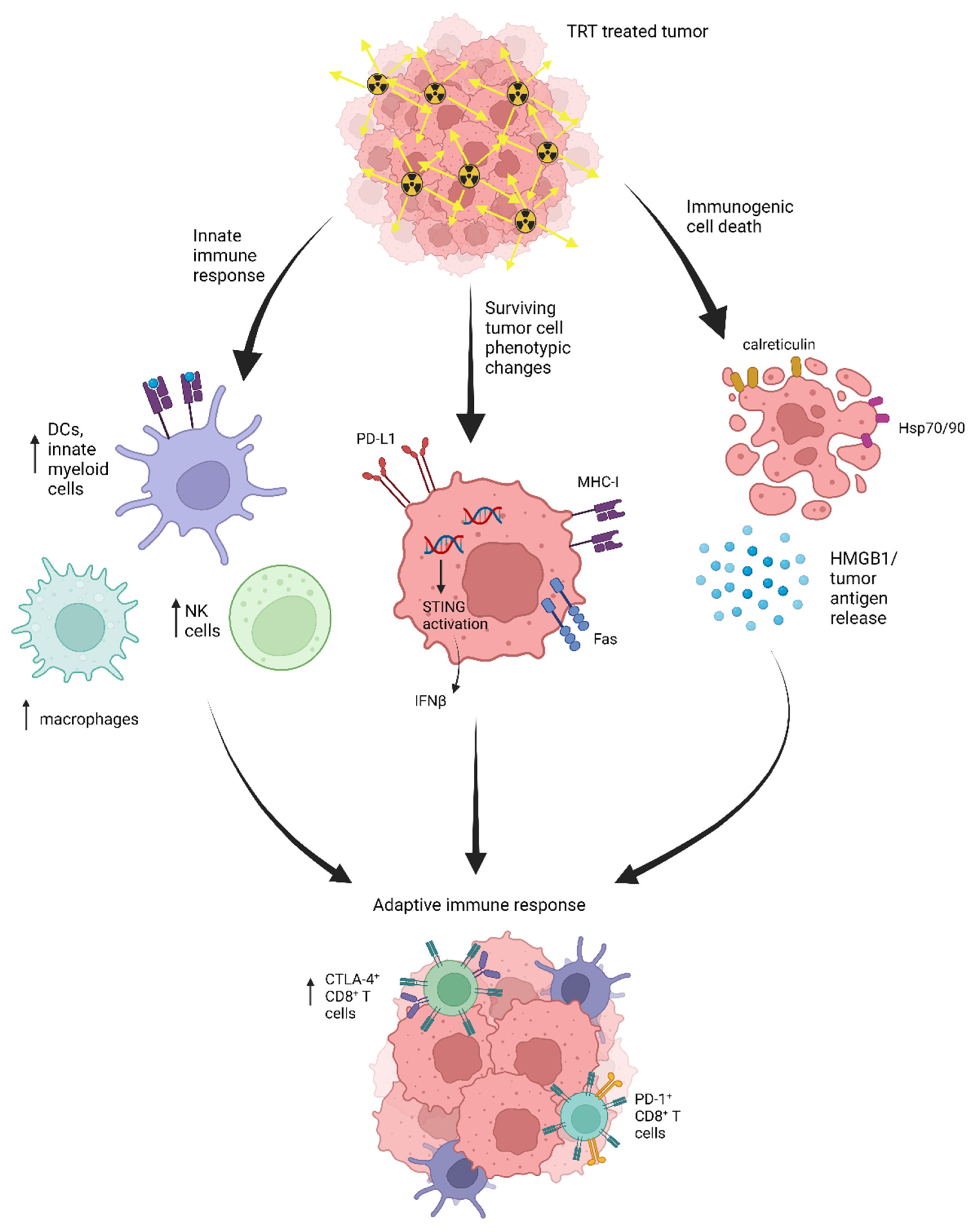 Pharmaceutics 15 00128 g002 Pharmaceutics 15 00128 g002