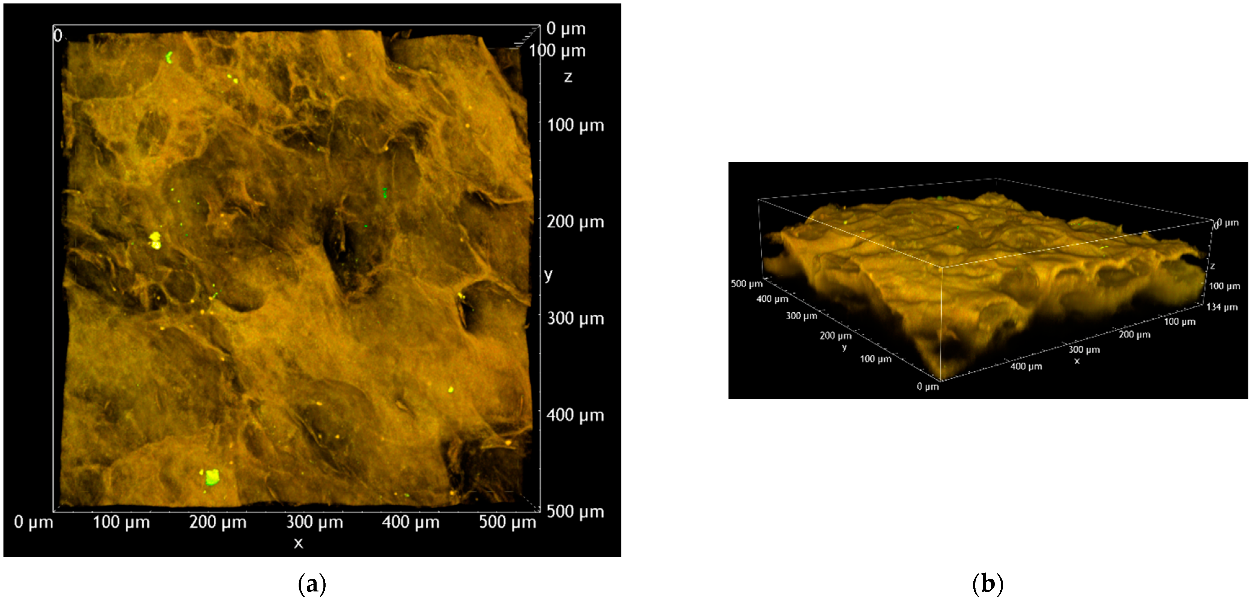 Pharmaceutics 15 00129 g006a Pharmaceutics 15 00129 g006a
