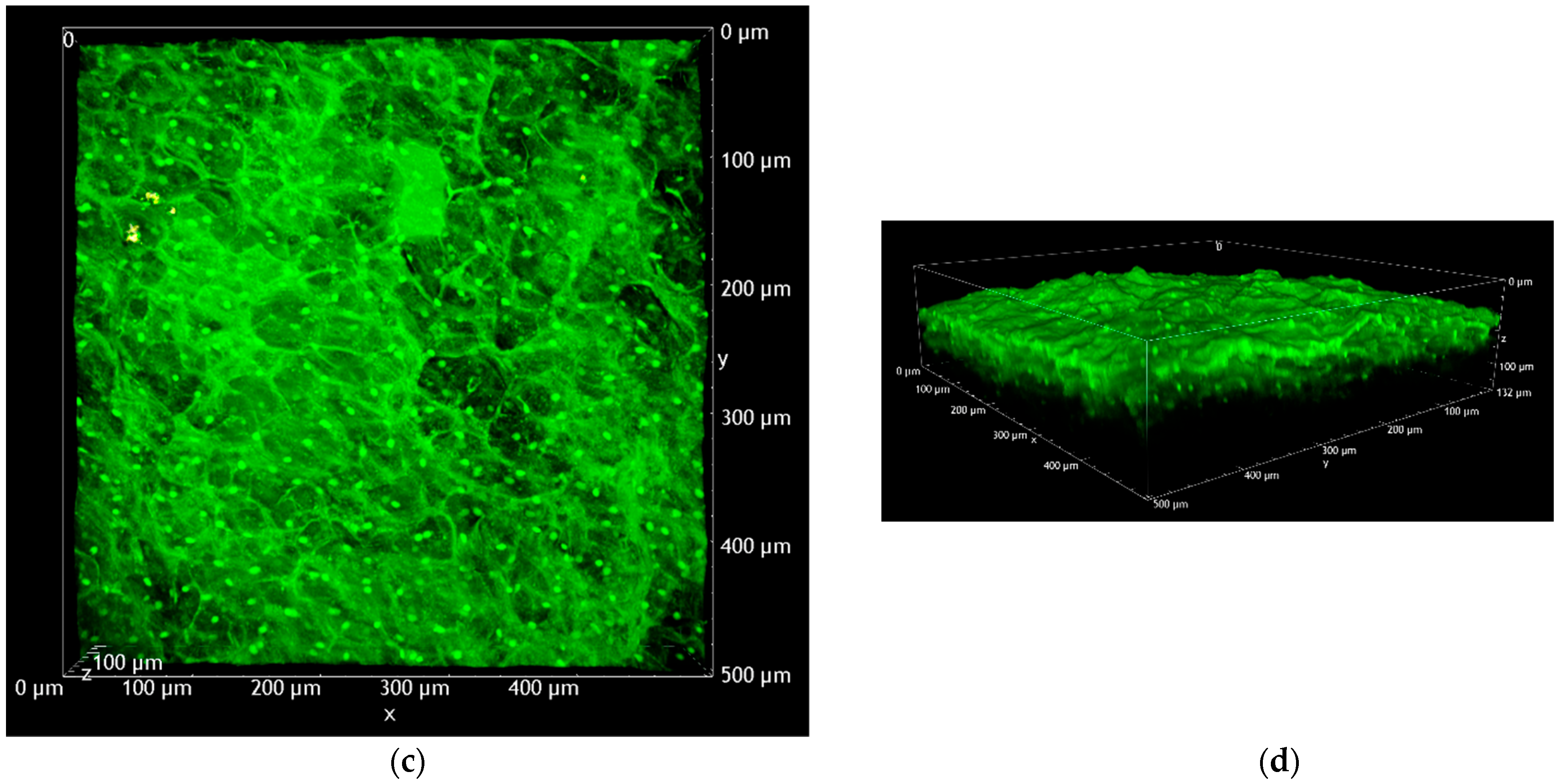 Pharmaceutics 15 00129 g006b Pharmaceutics 15 00129 g006b