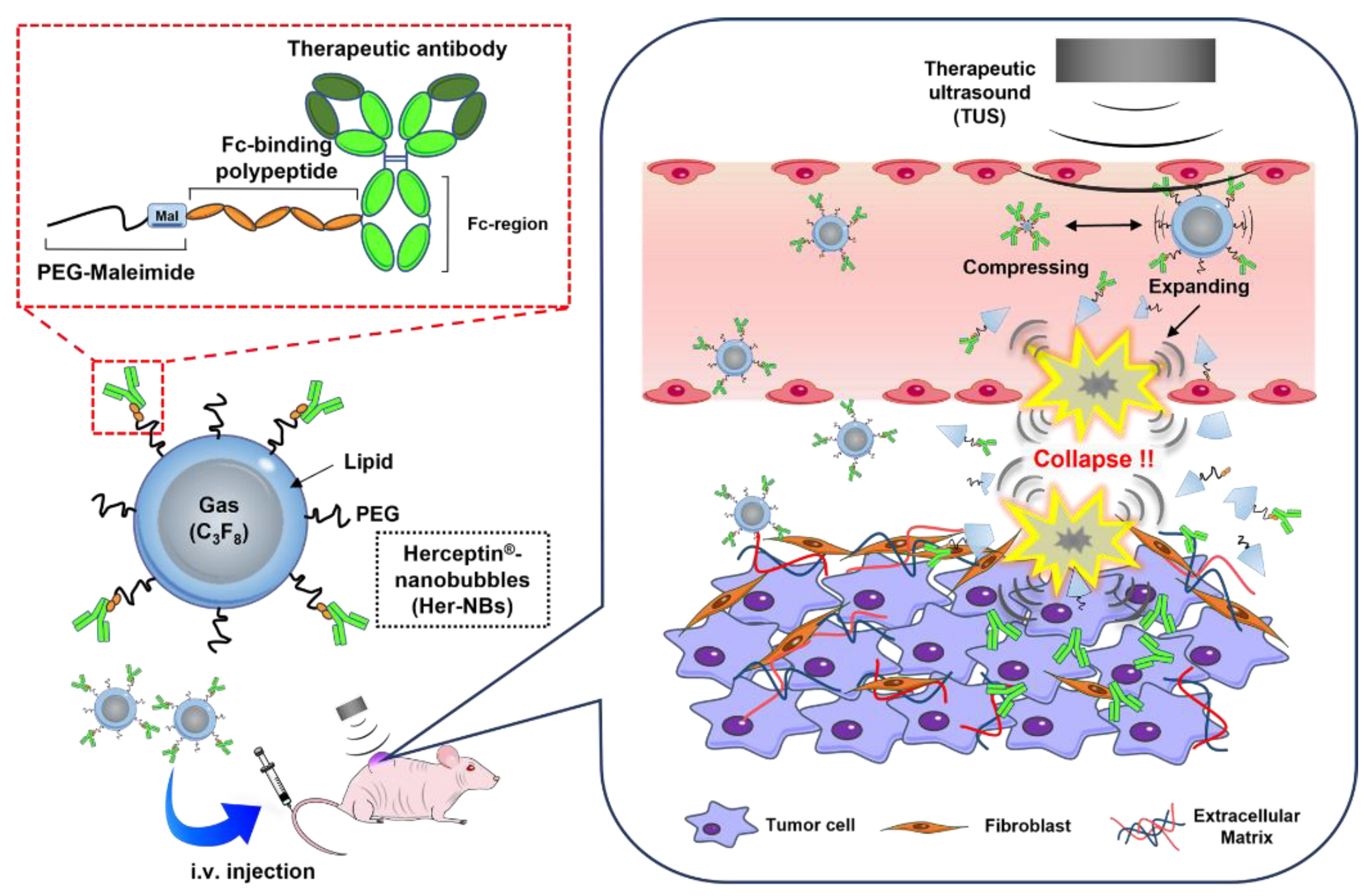 Pharmaceutics 15 00130 g001 Pharmaceutics 15 00130 g001
