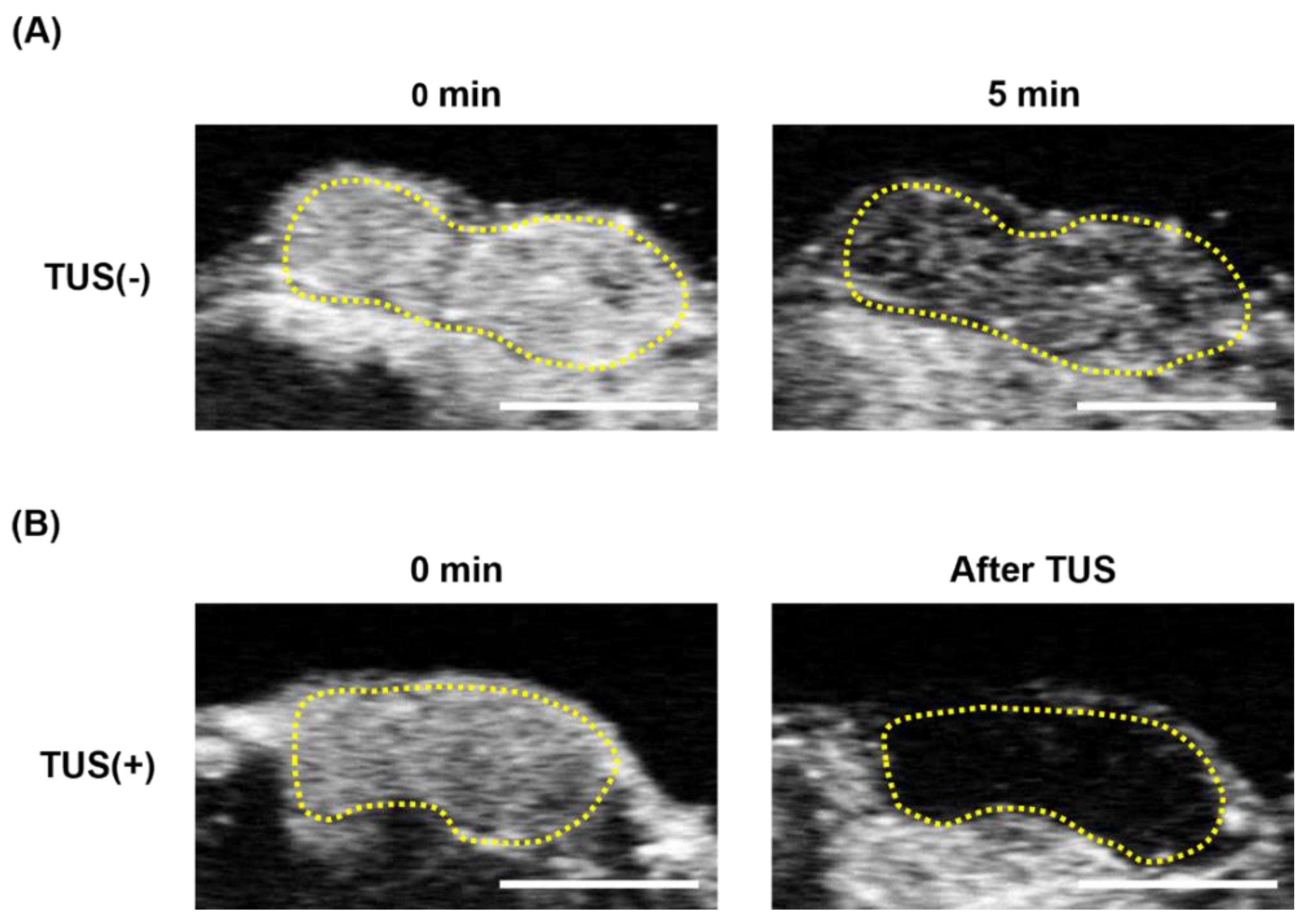 Pharmaceutics 15 00130 g004 Pharmaceutics 15 00130 g004