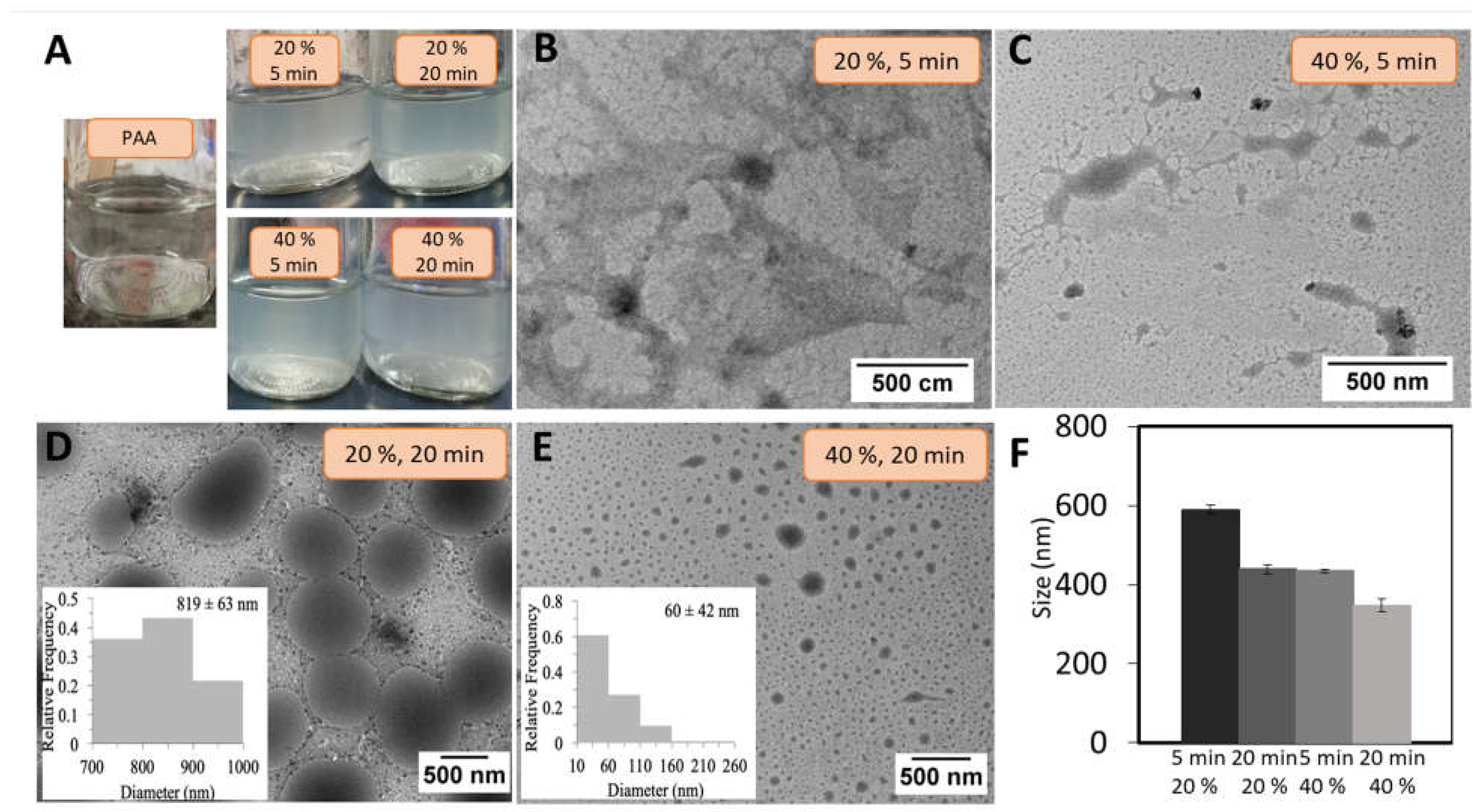 Pharmaceutics 15 00133 g002 Pharmaceutics 15 00133 g002