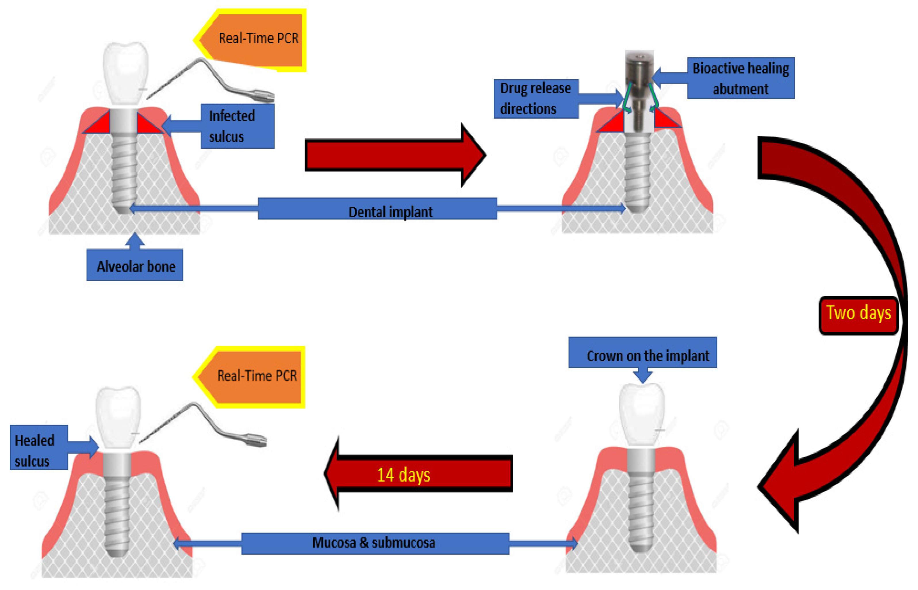 Pharmaceutics 15 00138 g001