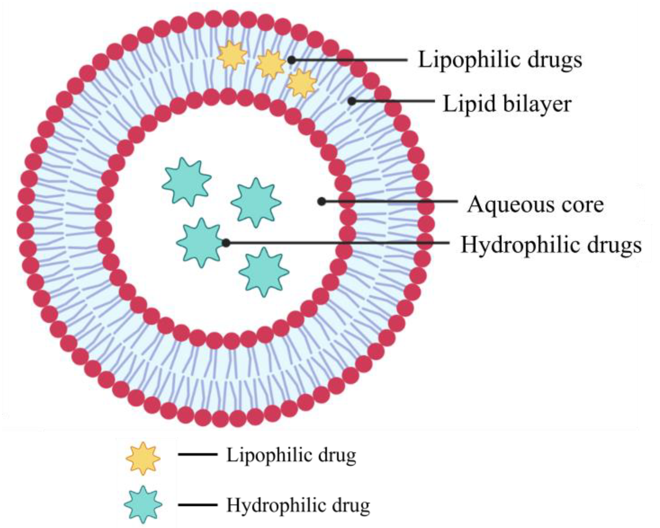 Pharmaceutics 15 00139 g004