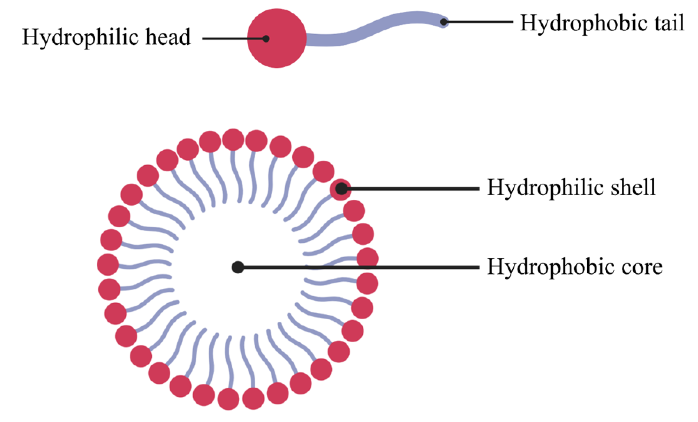 Pharmaceutics 15 00139 g007