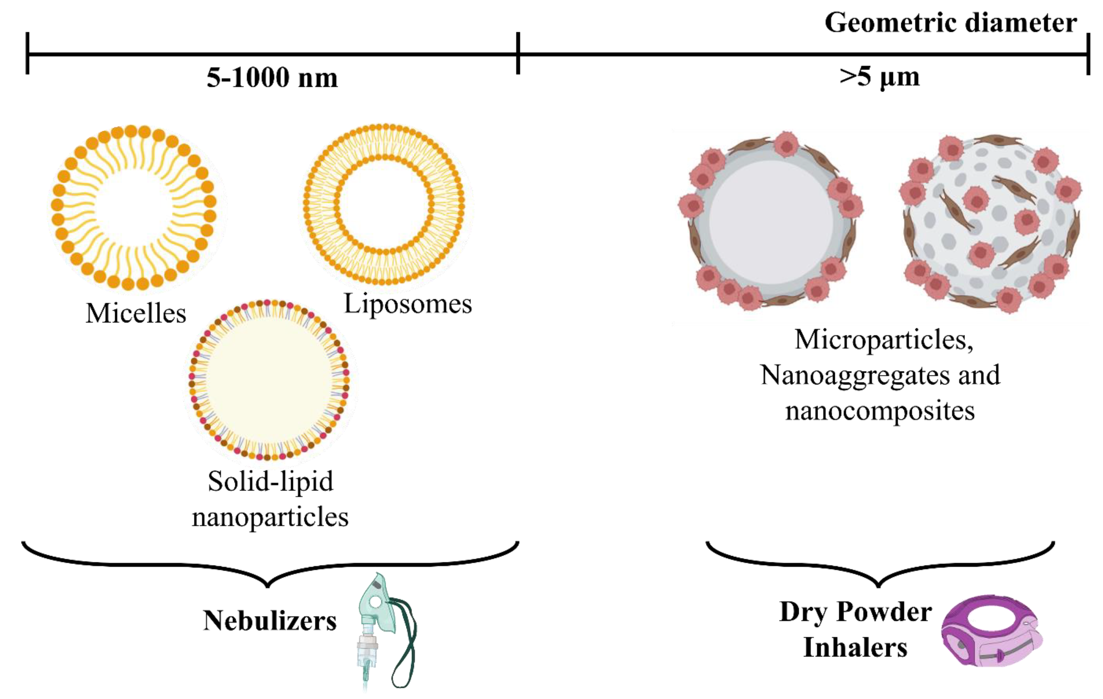 Pharmaceutics 15 00139 g009
