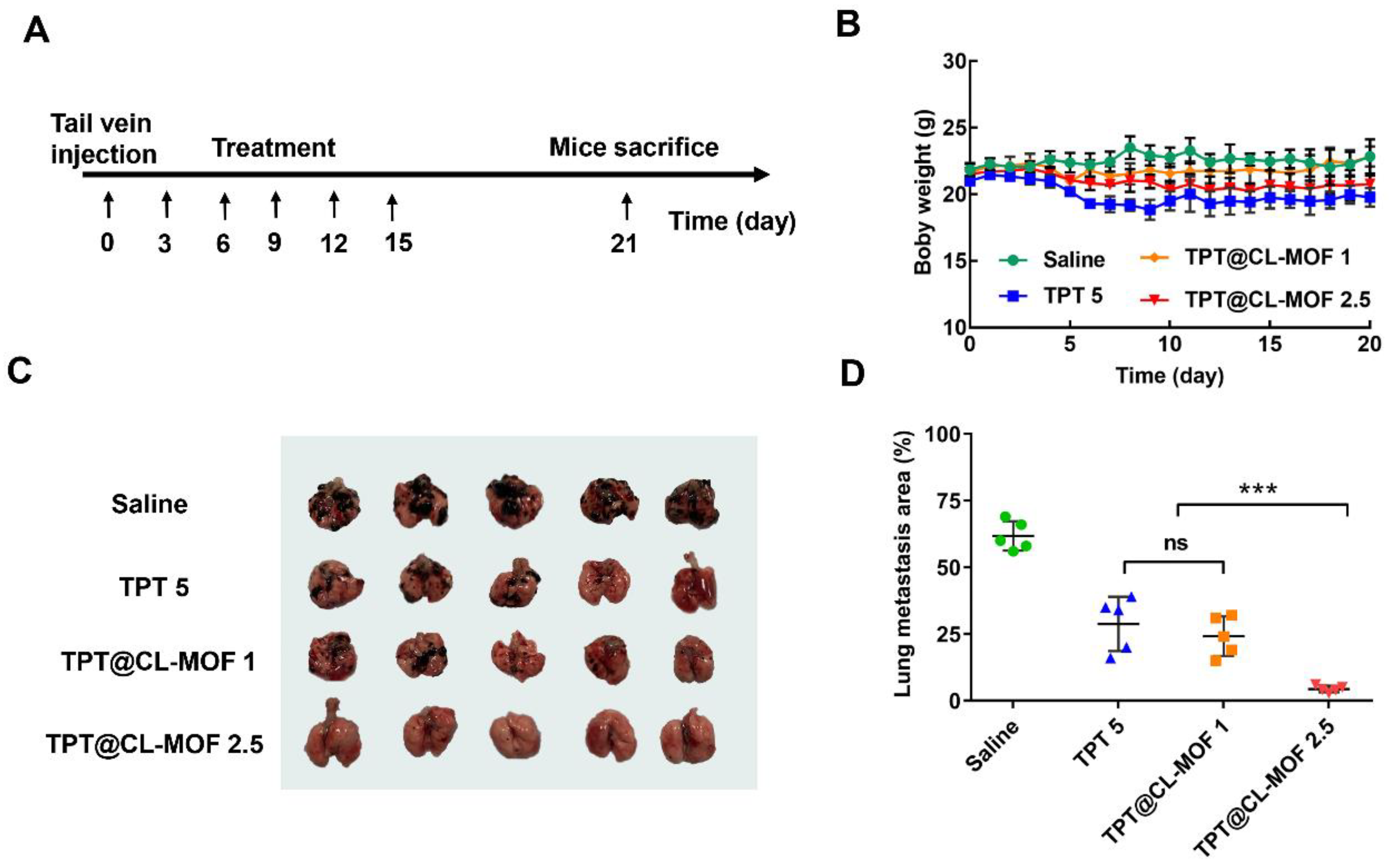 Pharmaceutics 15 00142 g005 Pharmaceutics 15 00142 g005