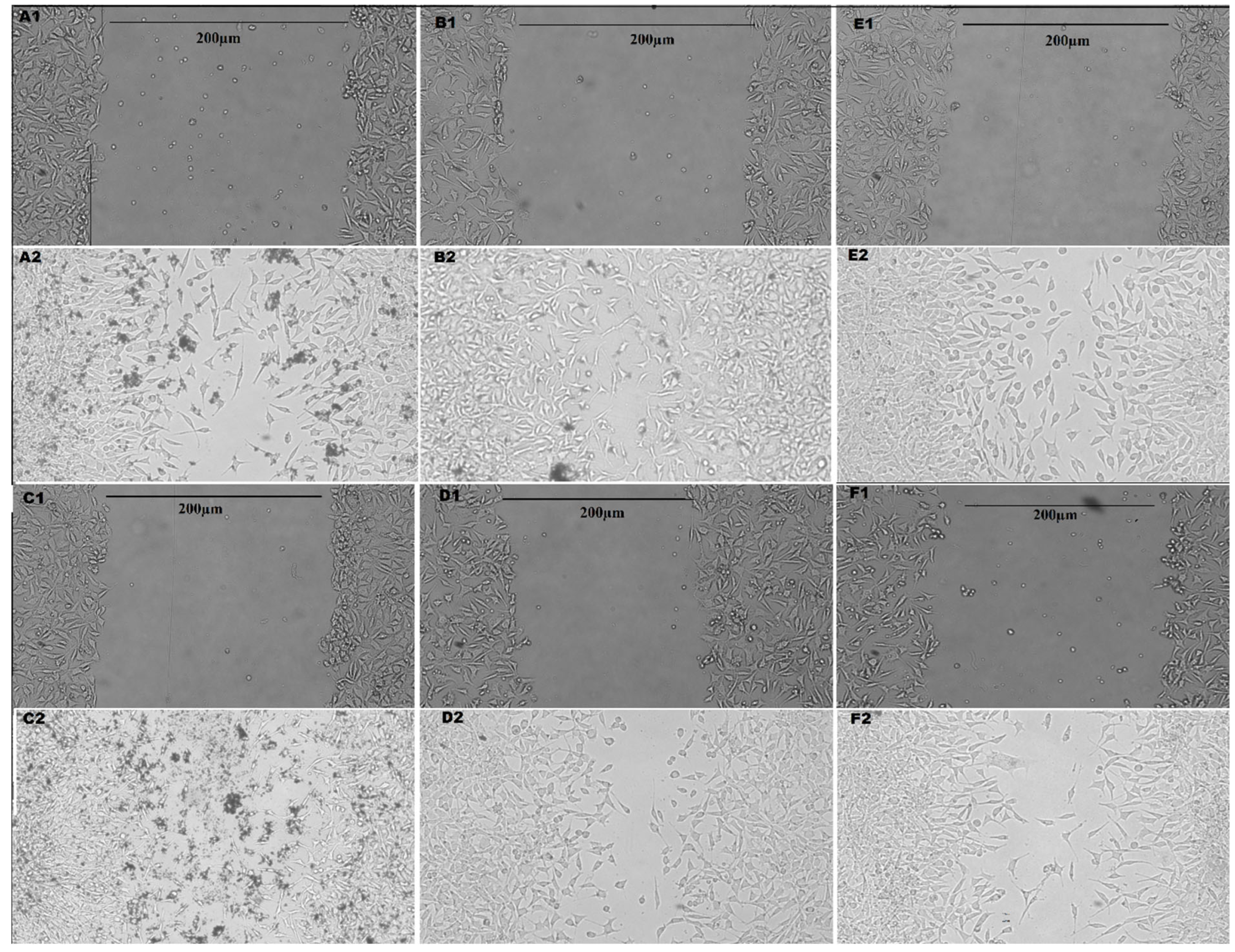 Pharmaceutics 15 00149 g005