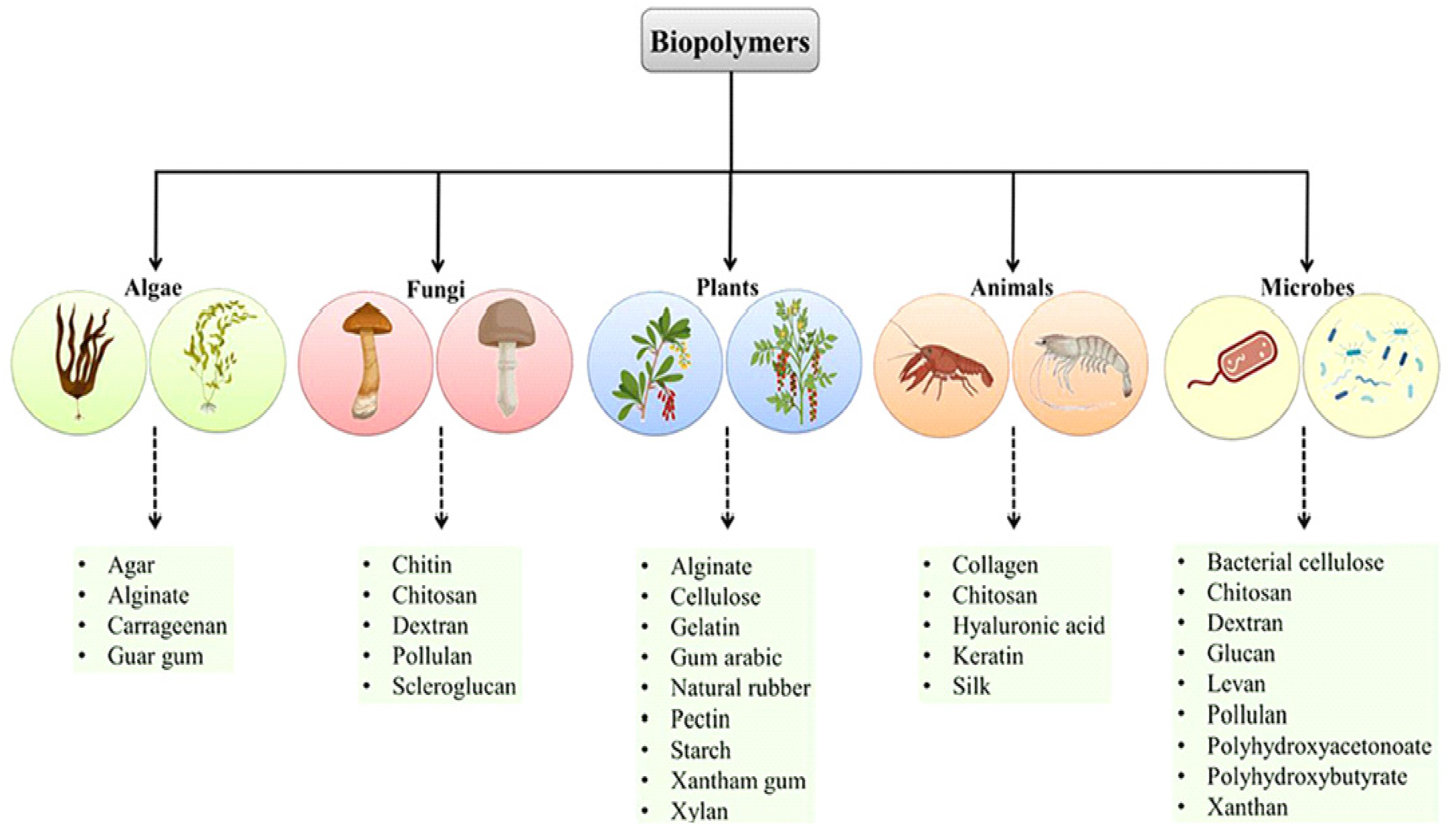 Pharmaceutics 15 00153 g001