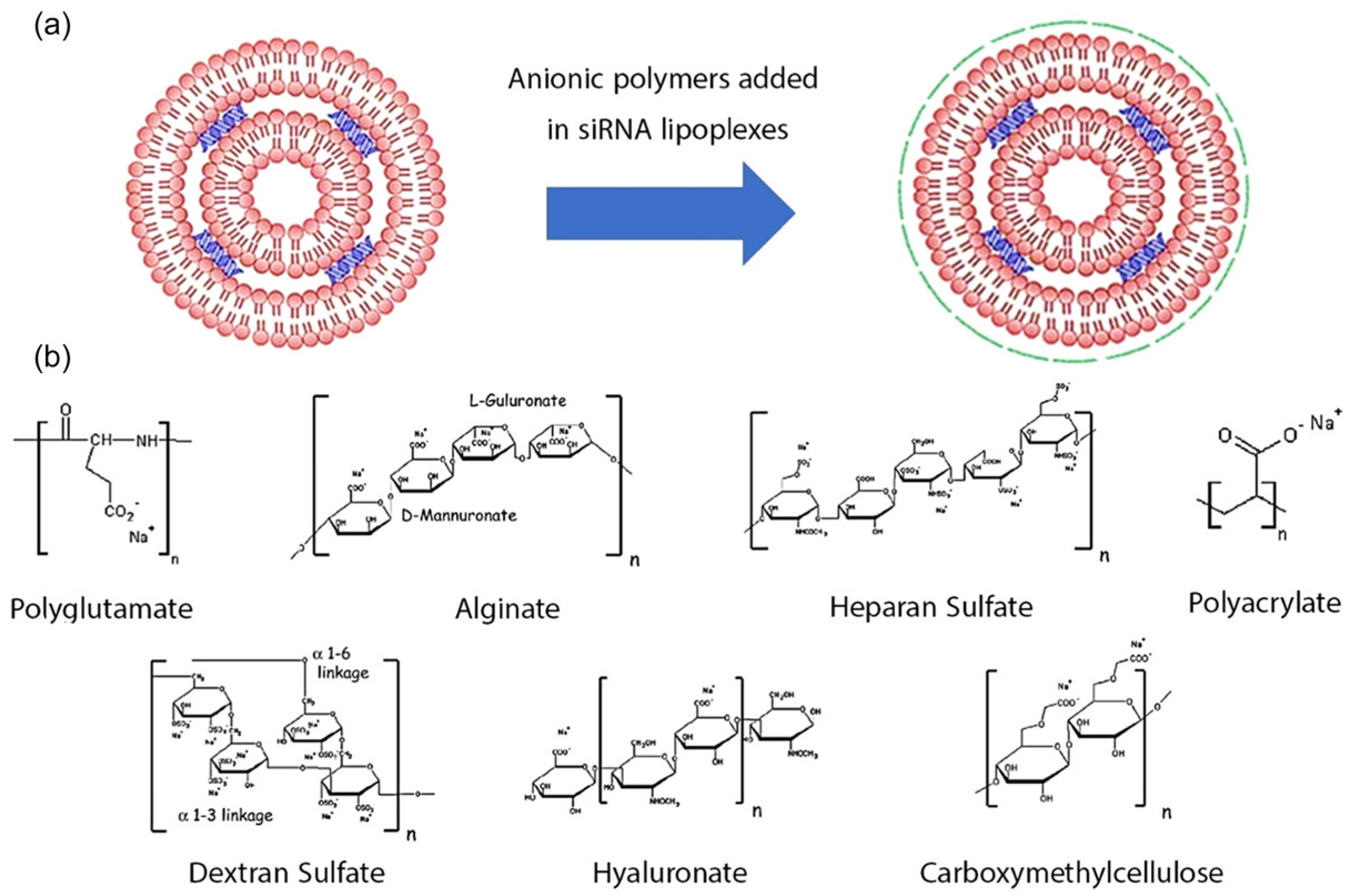 Pharmaceutics 15 00153 g002