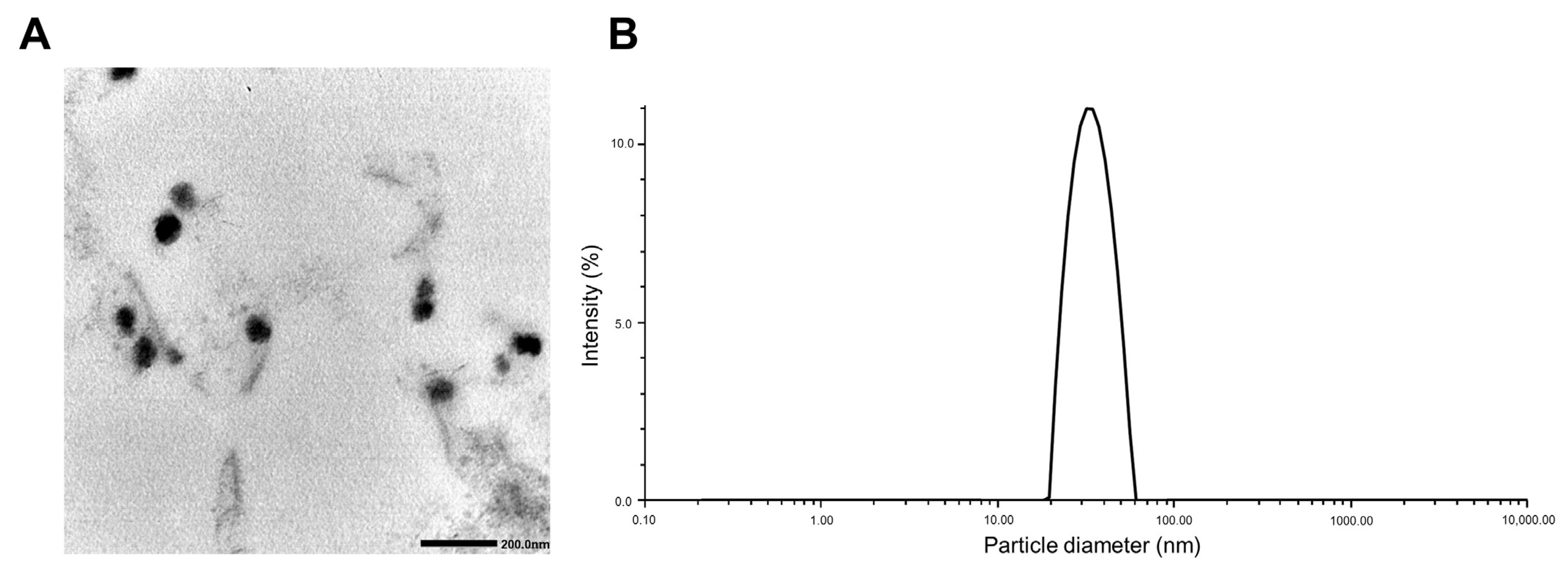 Pharmaceutics 15 00154 g002