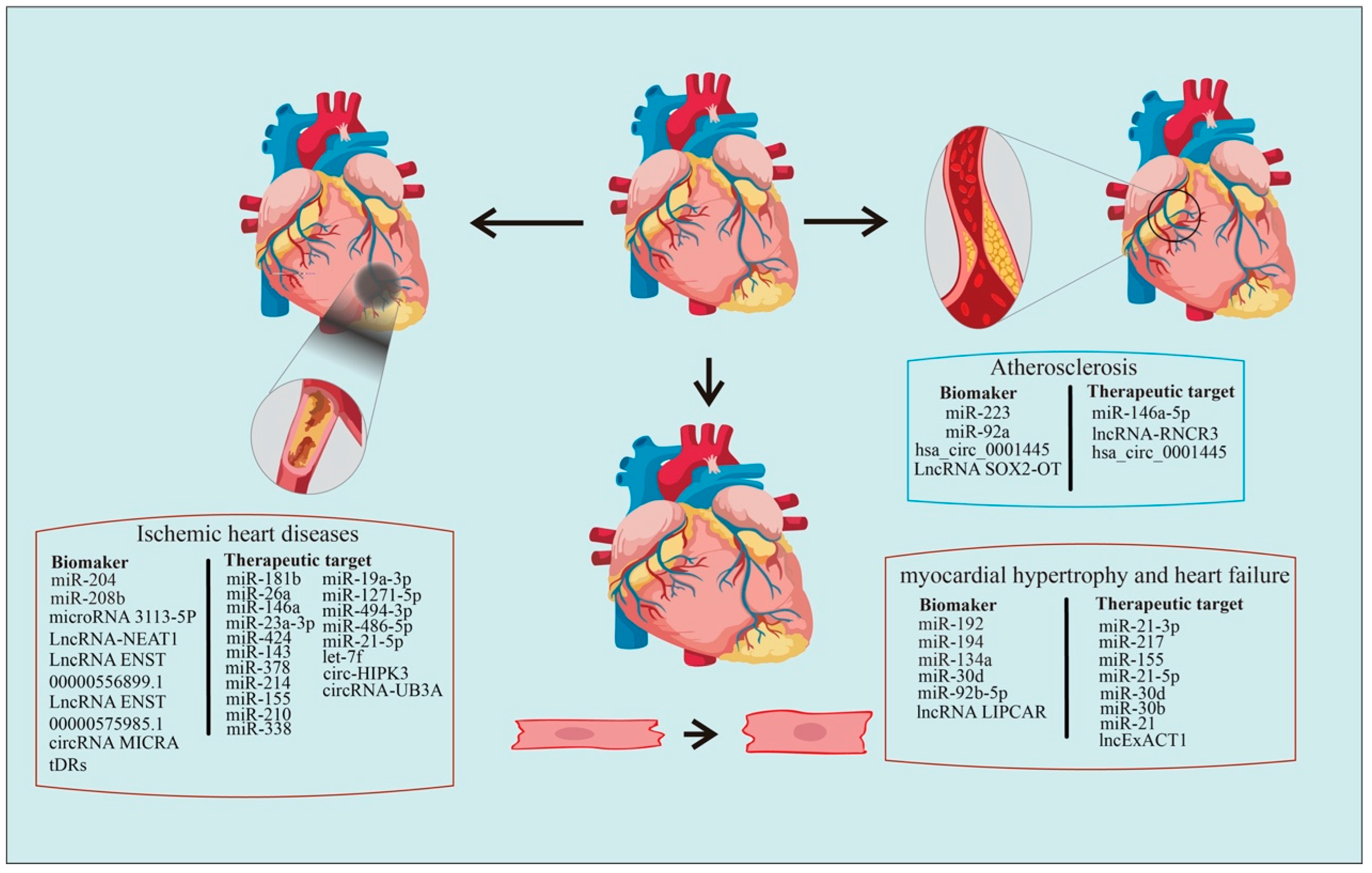 Pharmaceutics 15 00155 g002