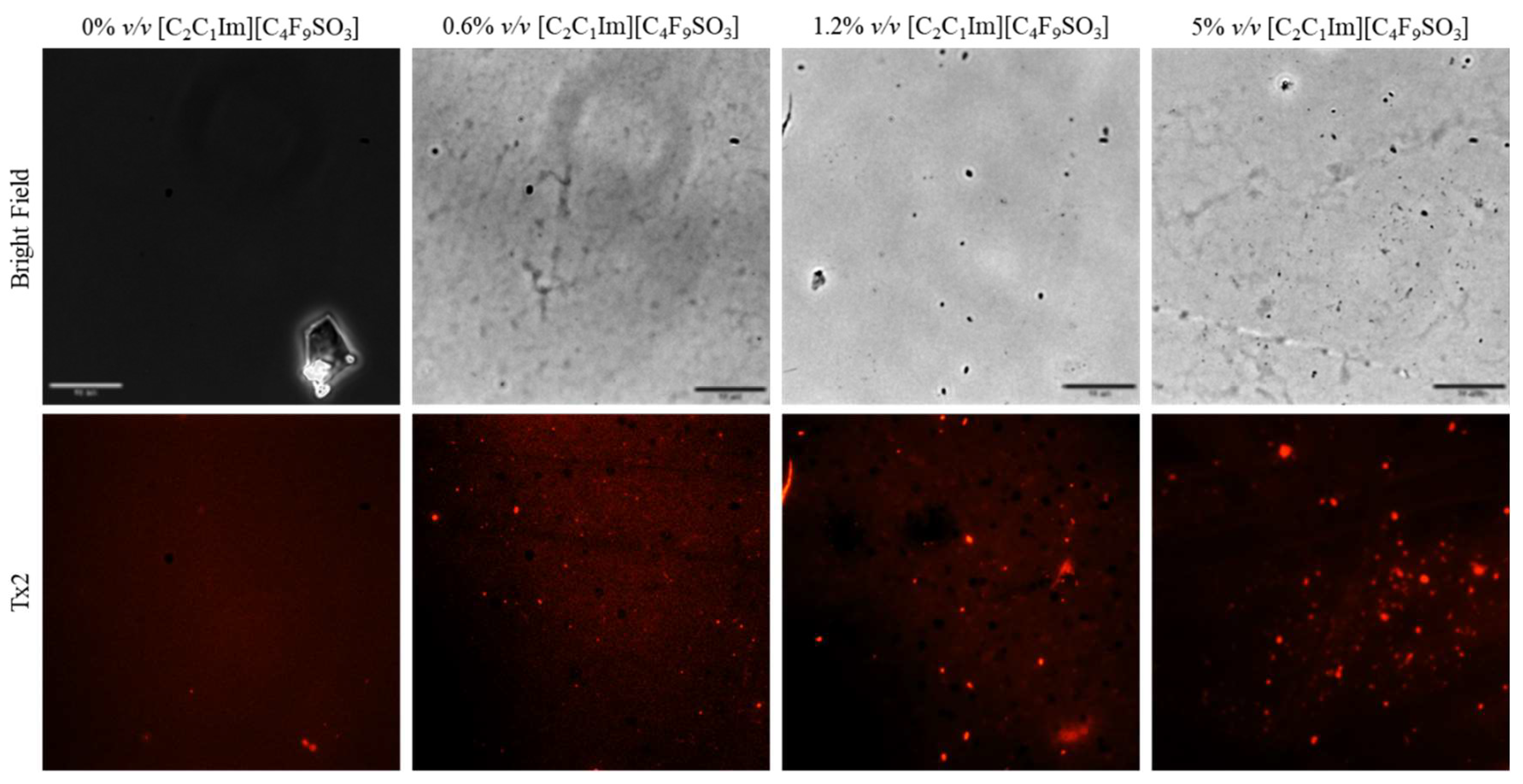 Pharmaceutics 15 00157 g012
