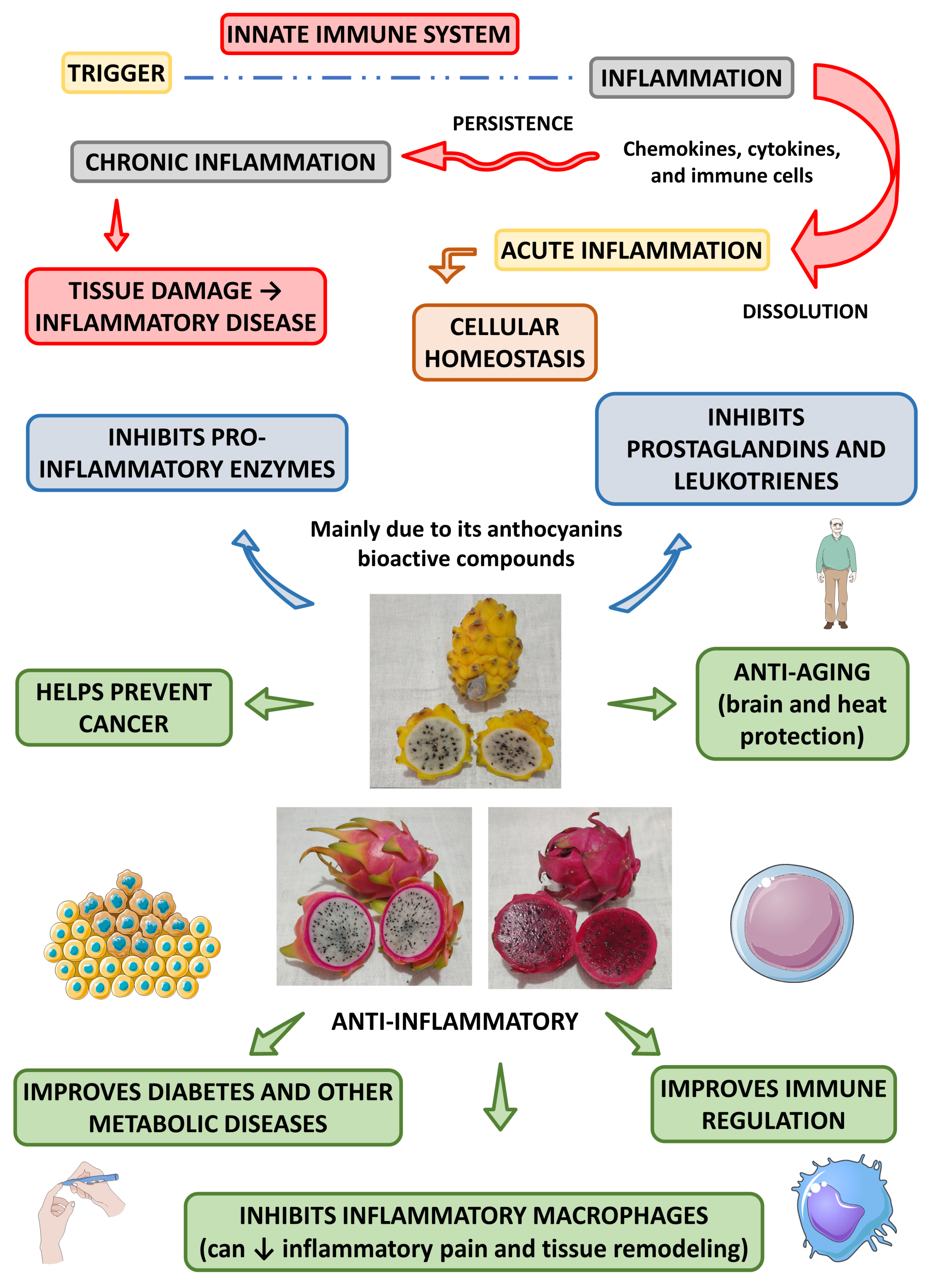 Pharmaceutics 15 00159 g005 Pharmaceutics 15 00159 g005