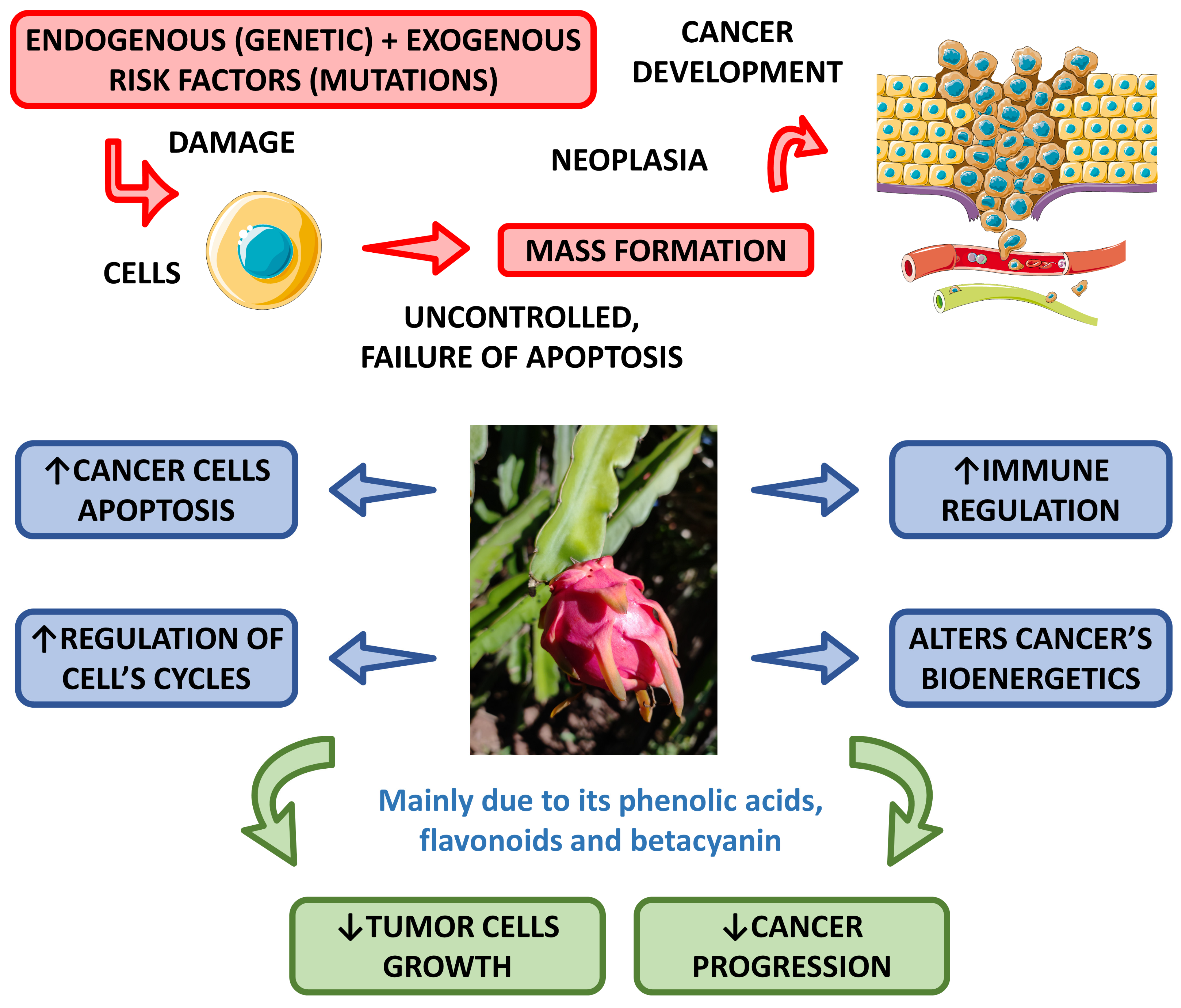 Pharmaceutics 15 00159 g006 Pharmaceutics 15 00159 g006