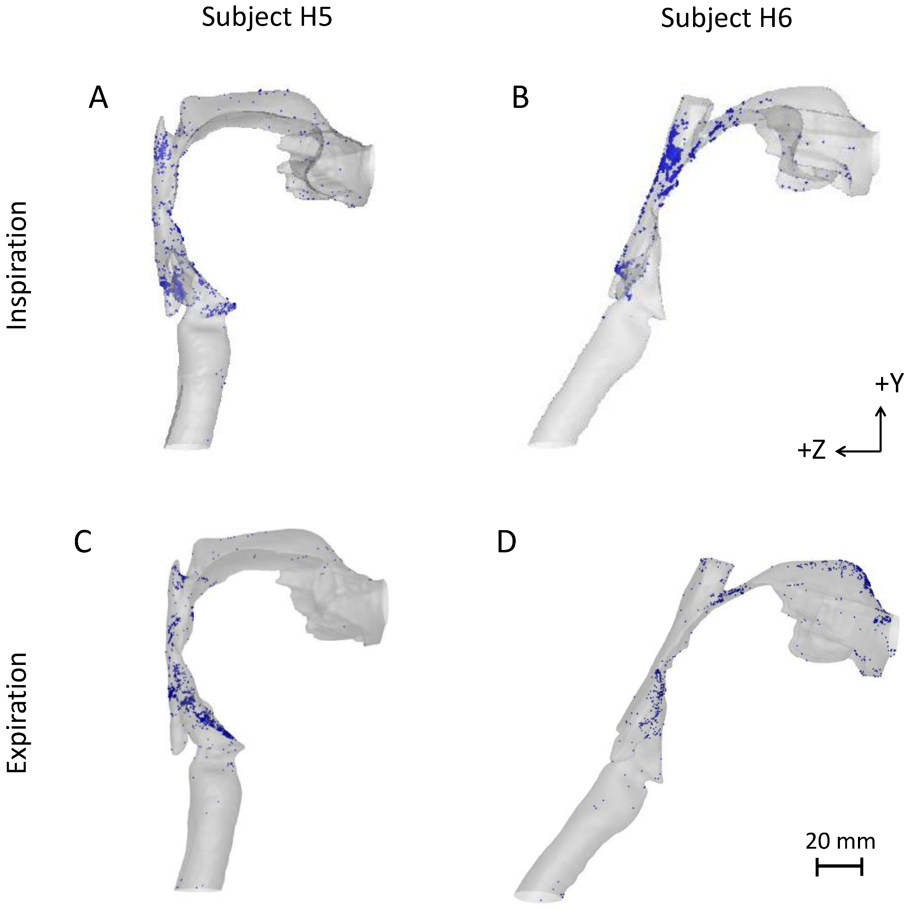 Pharmaceutics 15 00160 g004