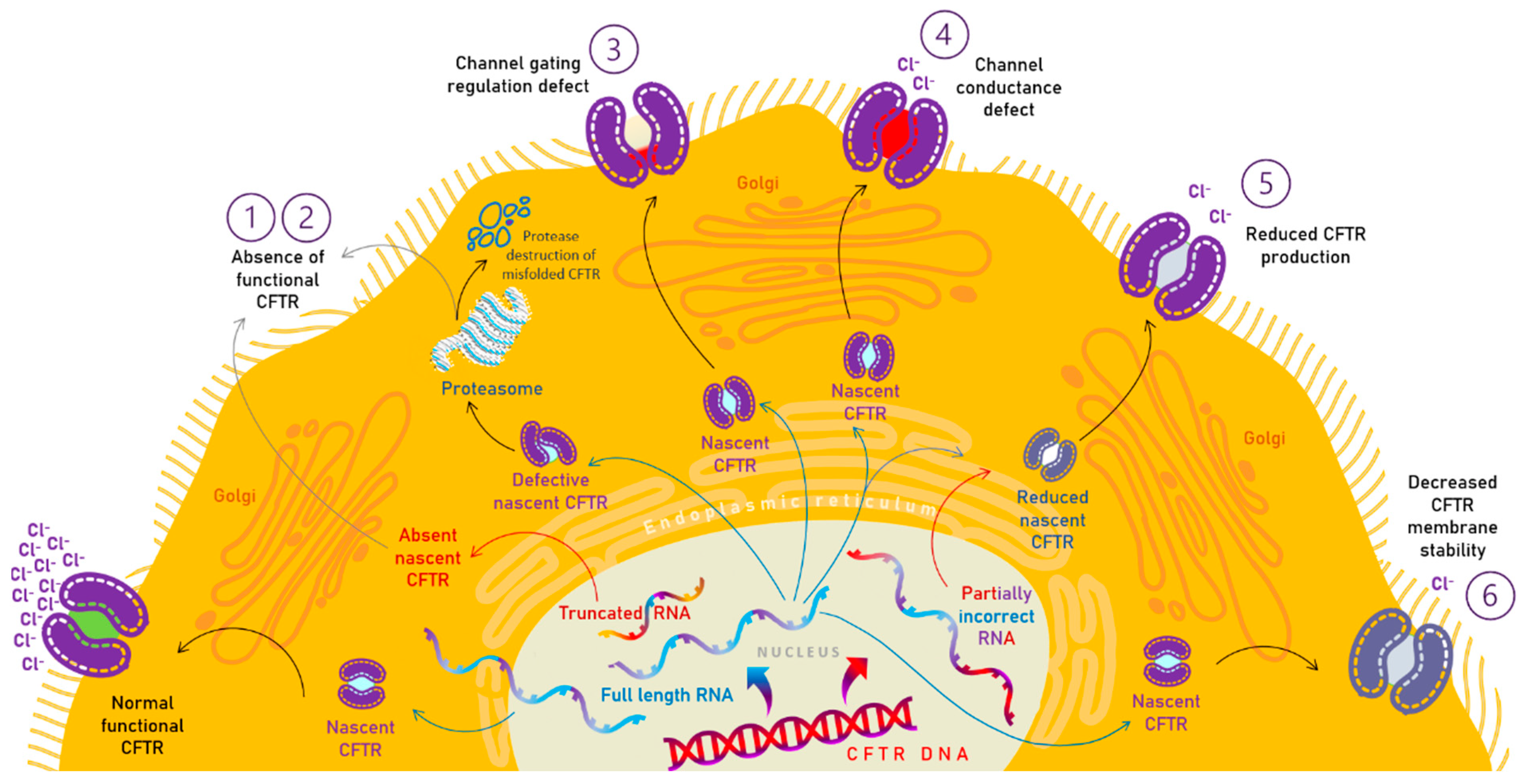 Pharmaceutics 15 00162 g002