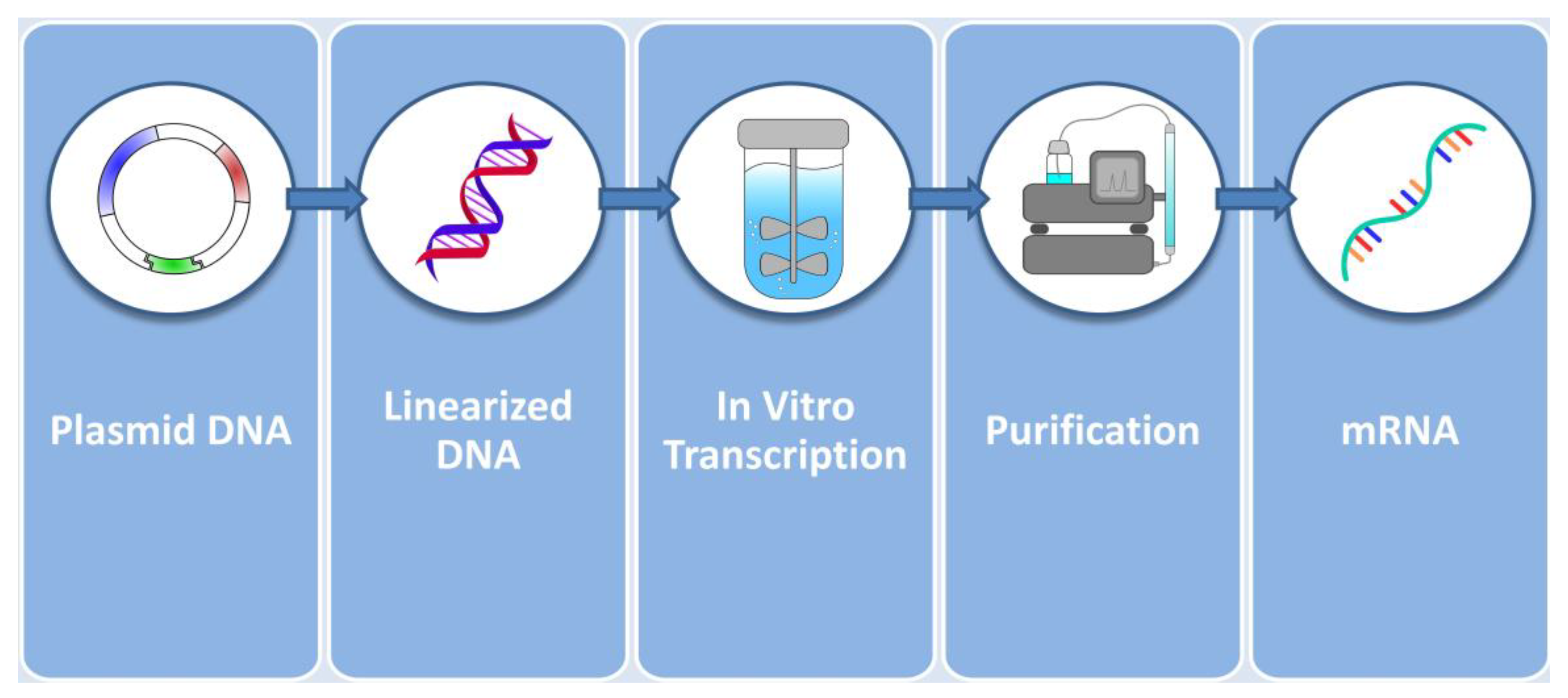 Pharmaceutics 15 00166 g003 Pharmaceutics 15 00166 g003