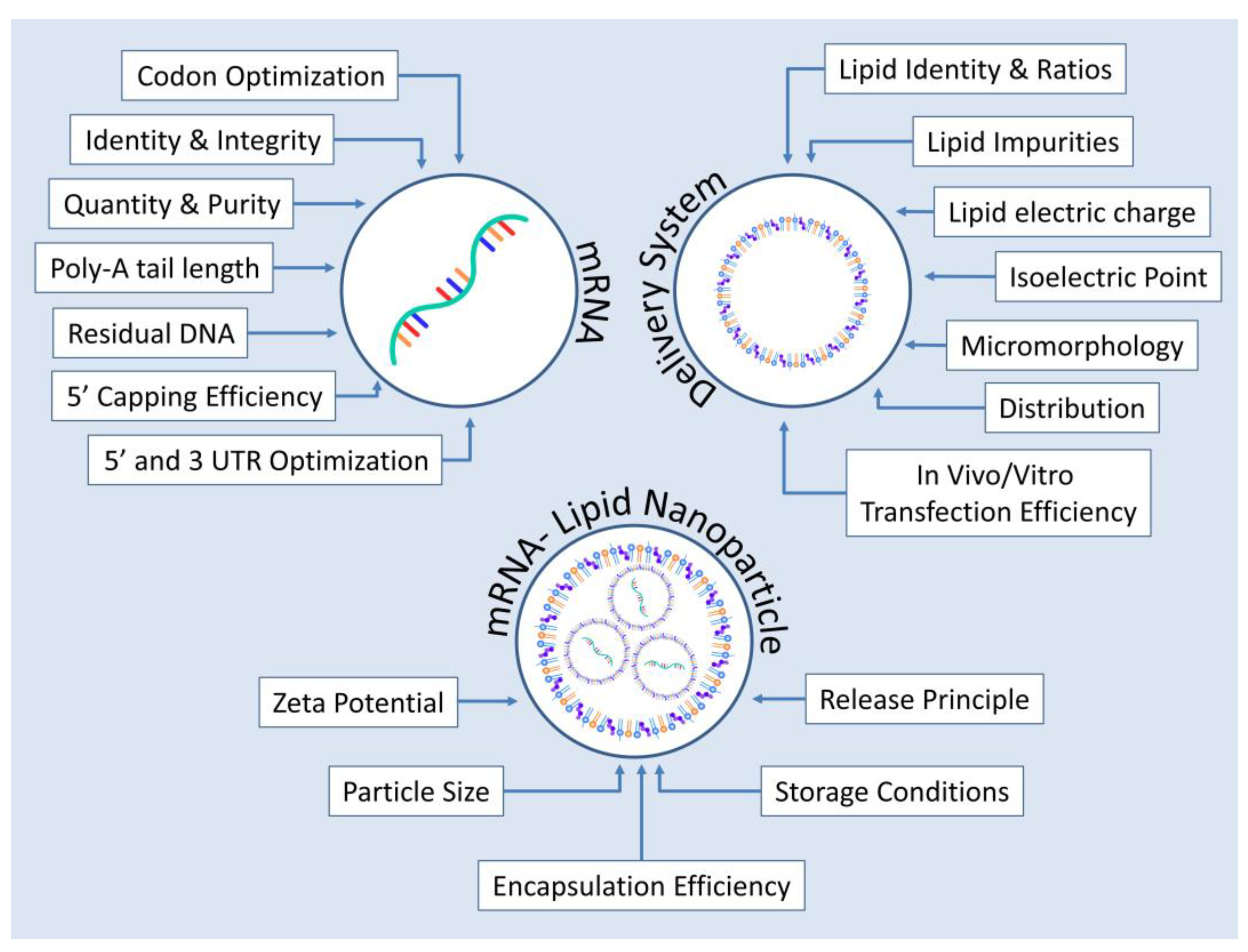 Pharmaceutics 15 00166 g005 Pharmaceutics 15 00166 g005
