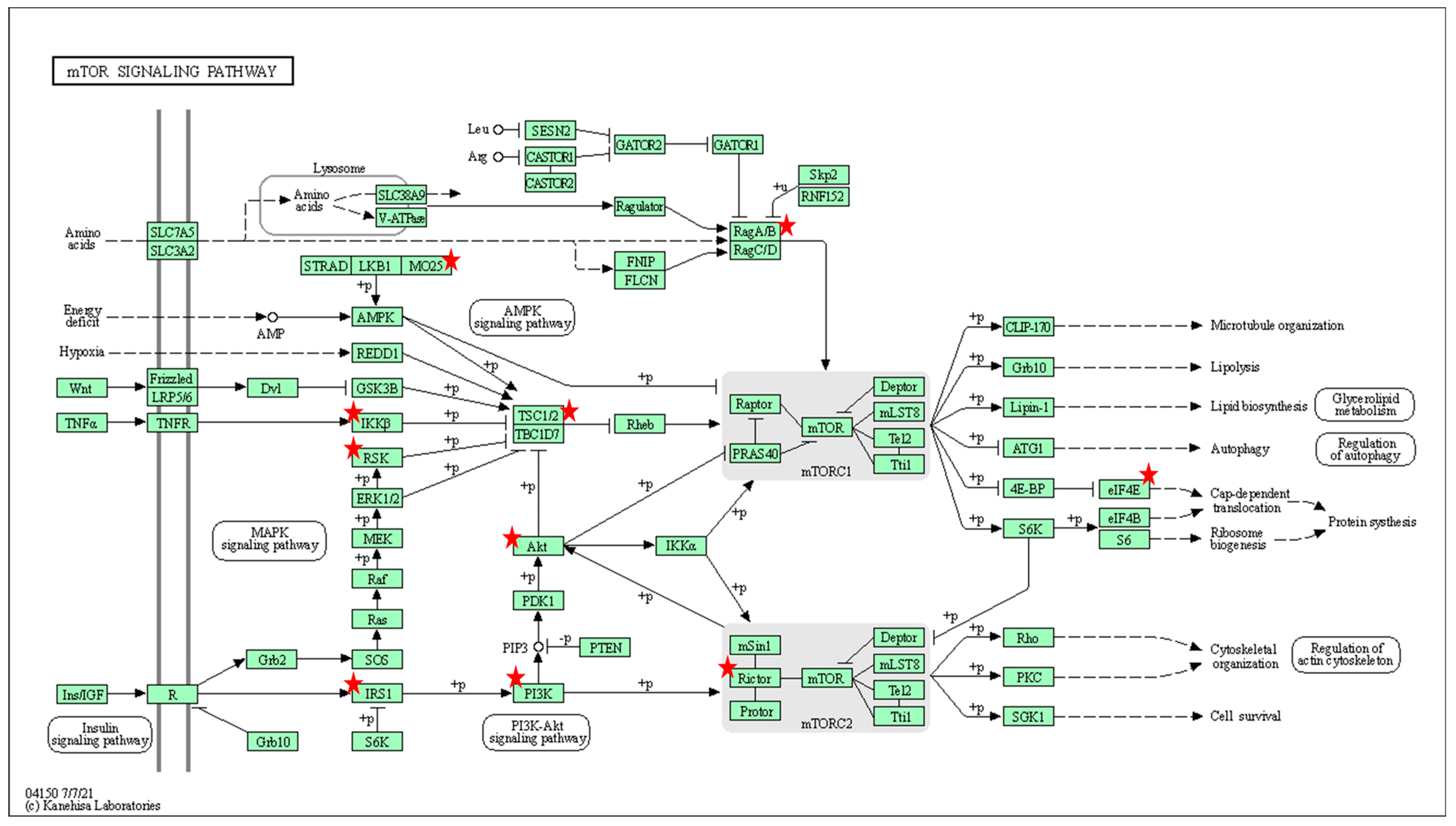 Pharmaceutics 15 00170 g004