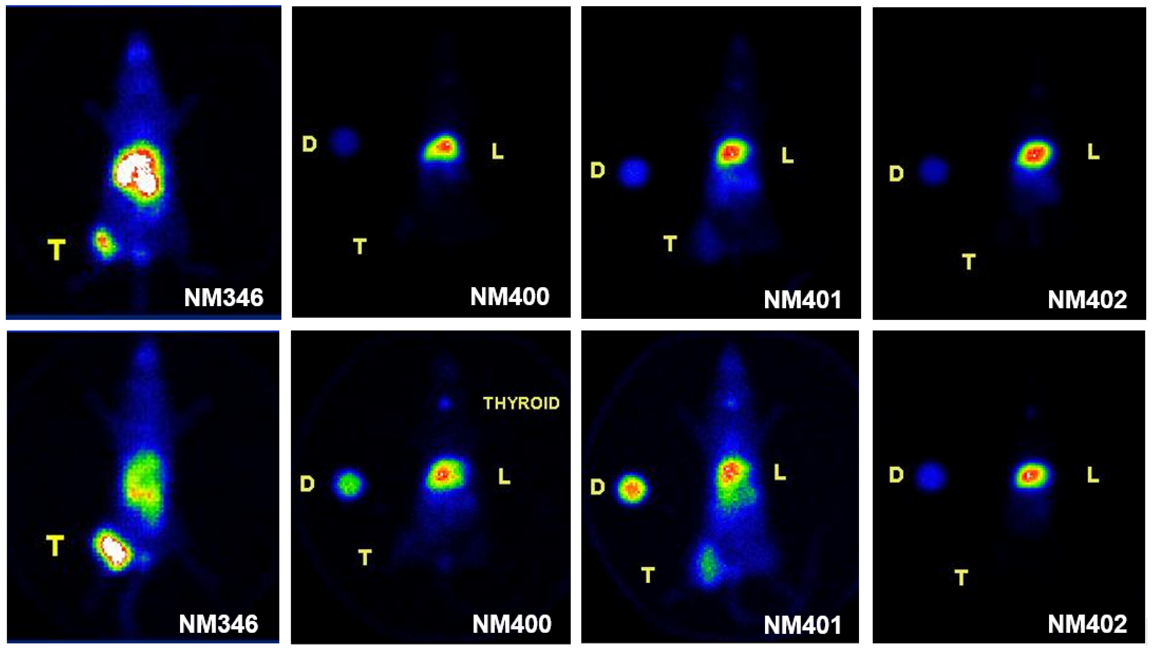 Pharmaceutics 15 00171 g003 Pharmaceutics 15 00171 g003