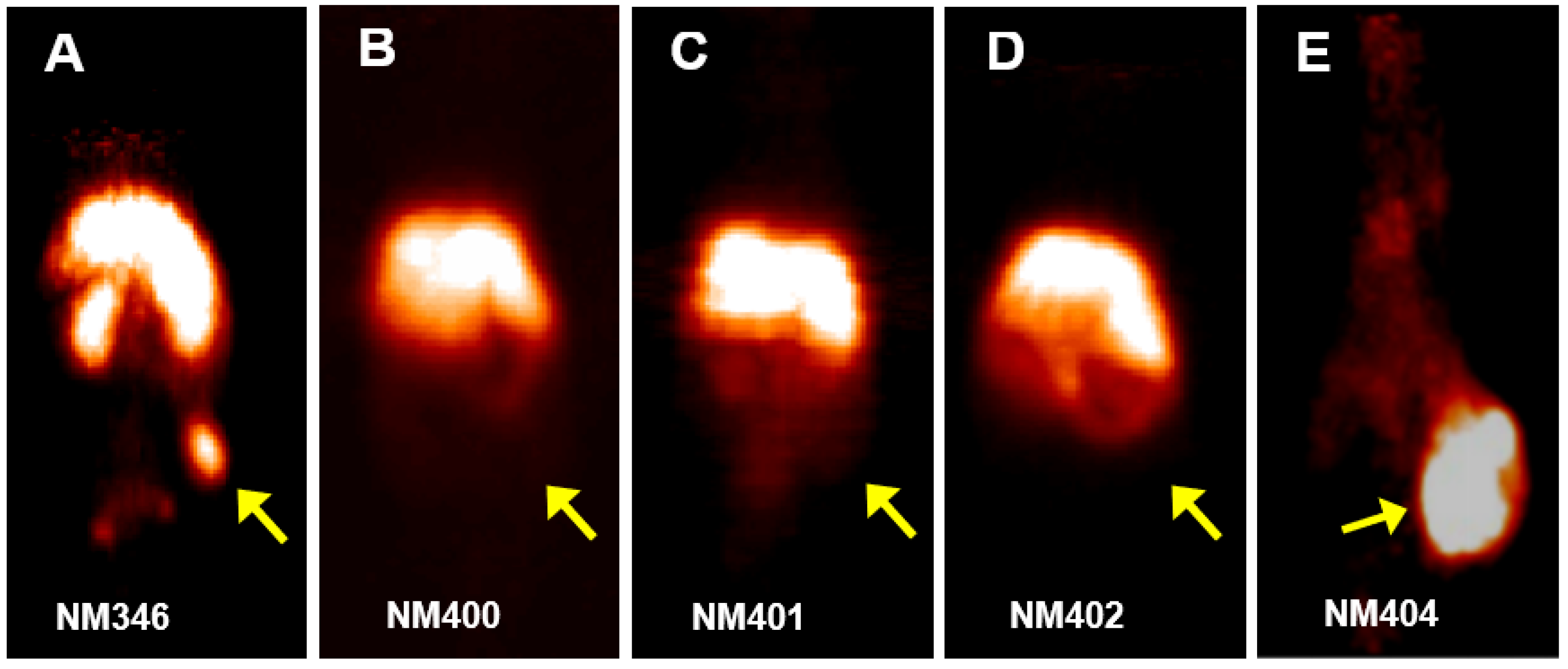 Pharmaceutics 15 00171 g004 Pharmaceutics 15 00171 g004